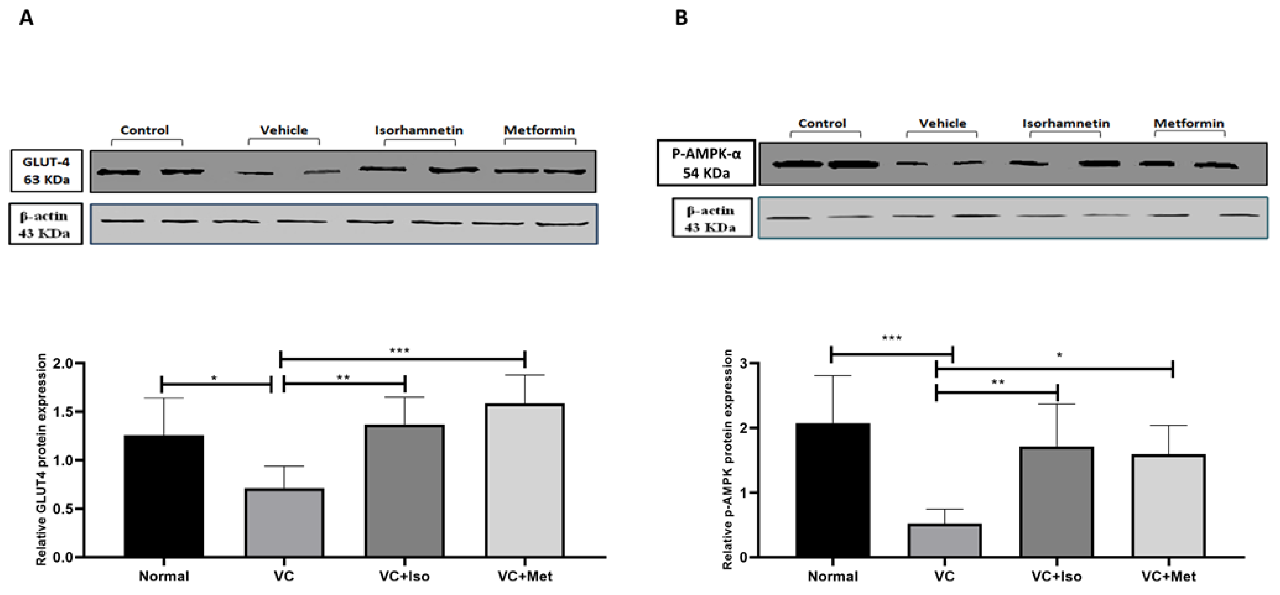 Molecules 28 00502 g004 Molecules 28 00502 g004