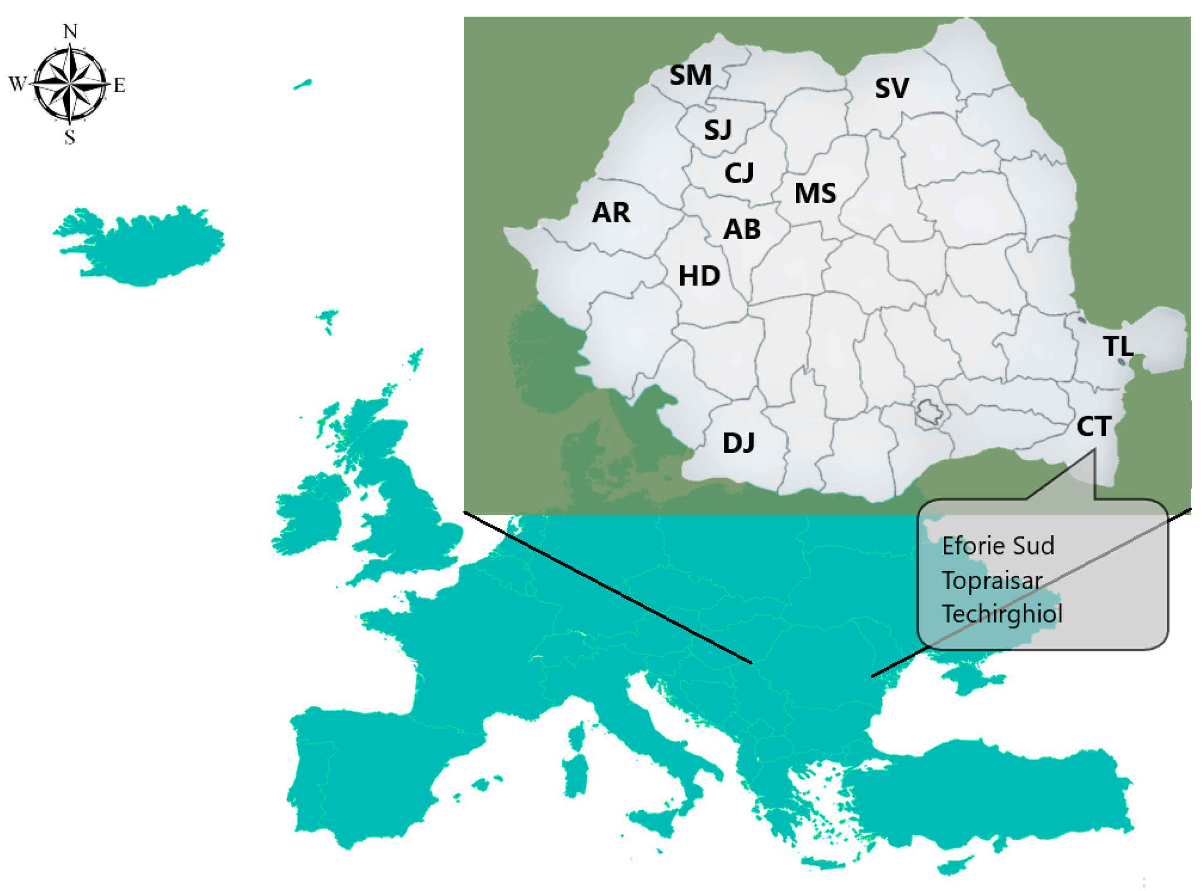 Molecules 28 00503 g004