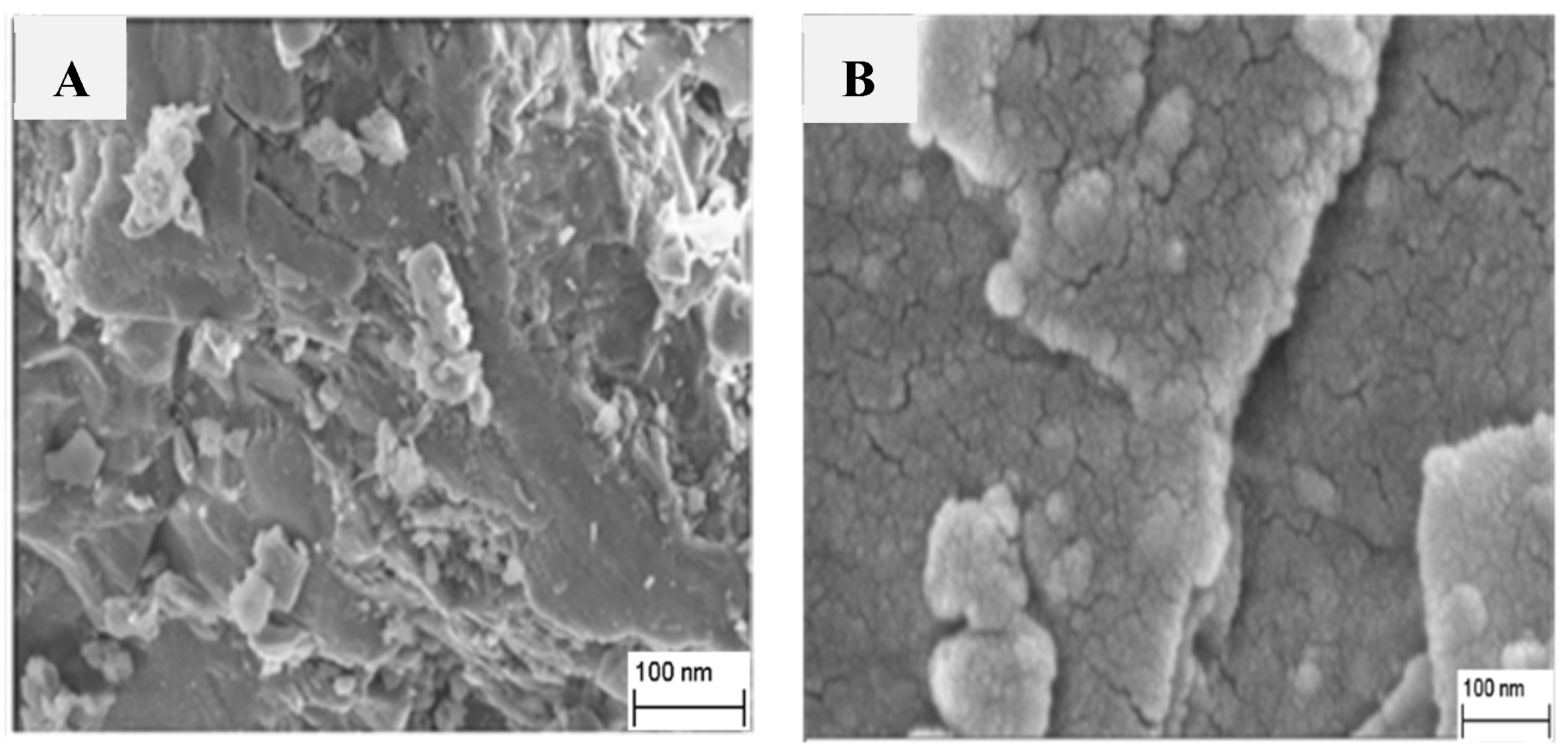 Molecules 28 00504 g002