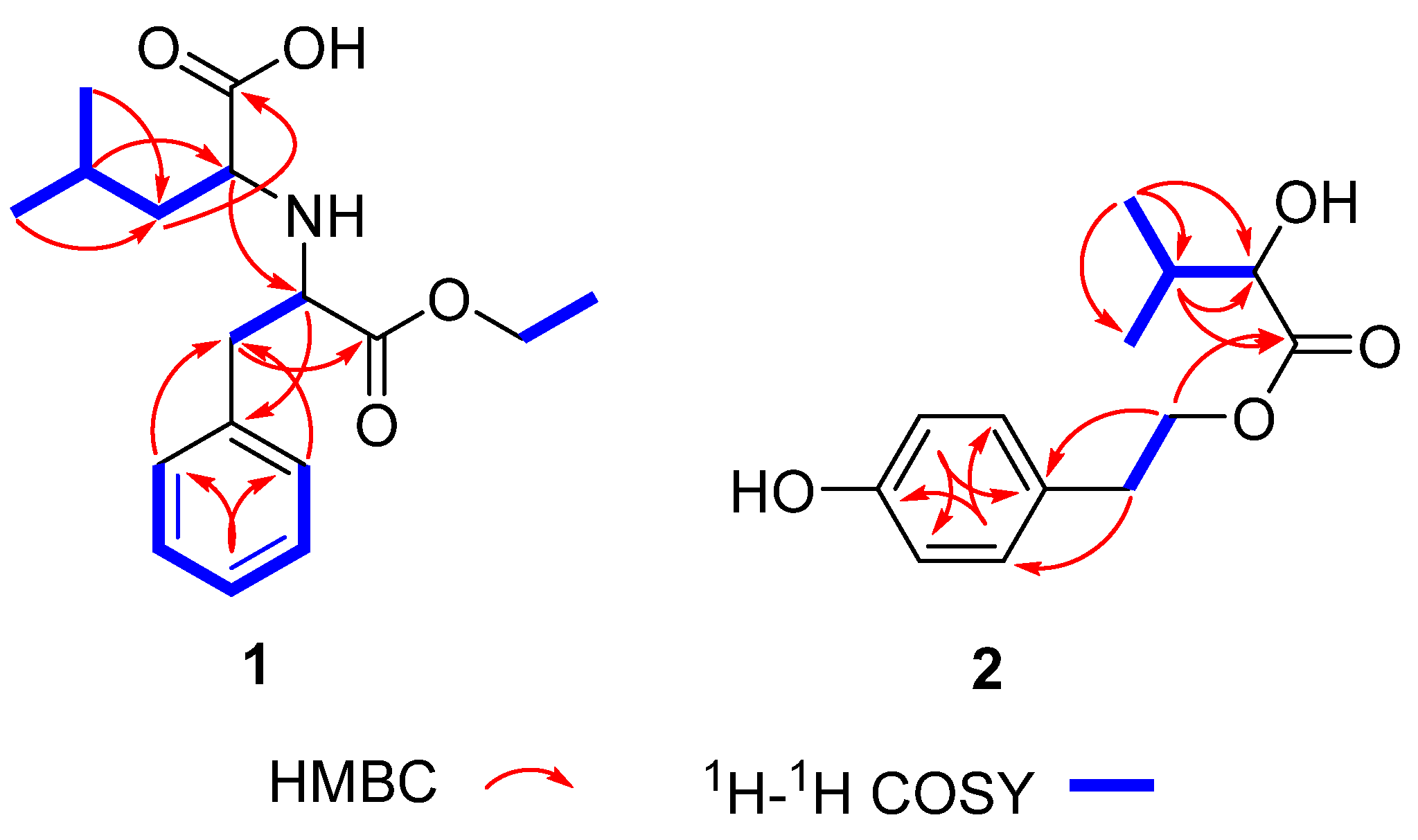 Molecules 28 00508 g002 Molecules 28 00508 g002
