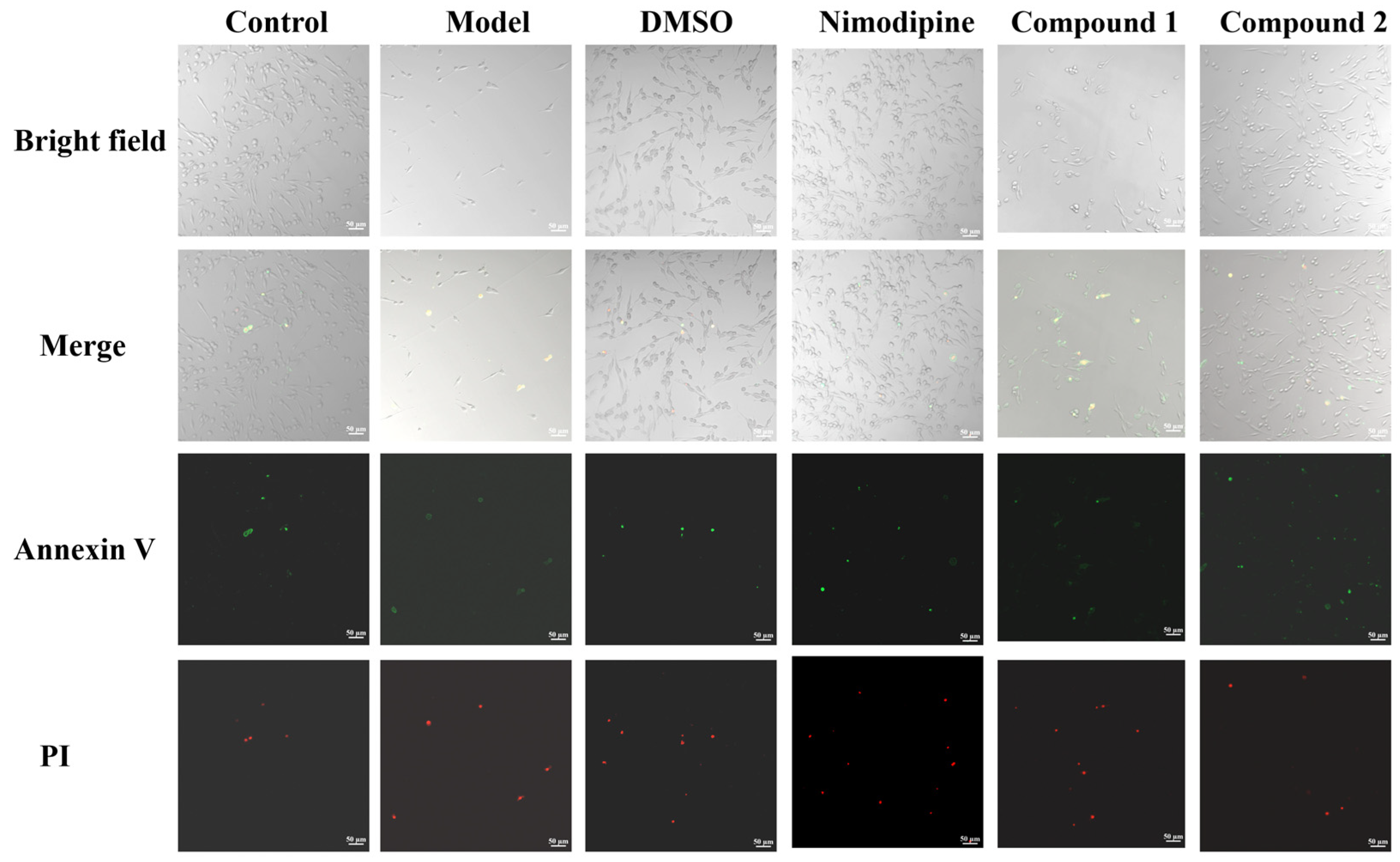 Molecules 28 00508 g007 Molecules 28 00508 g007