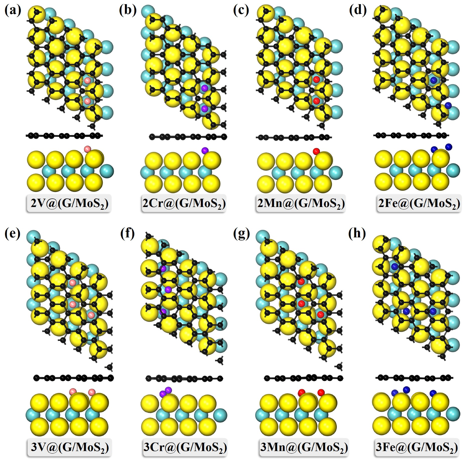 Molecules 28 00509 g003