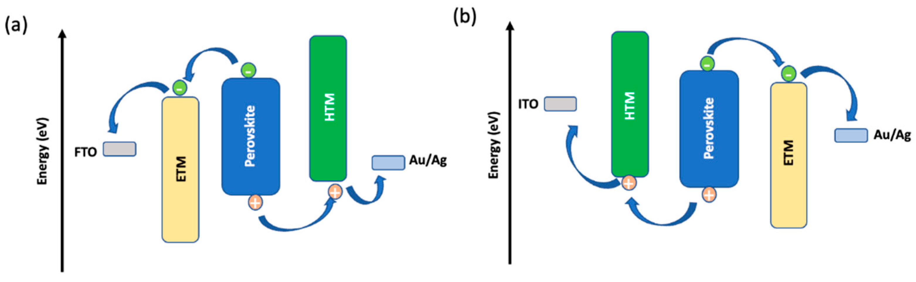 Molecules 28 00510 g002