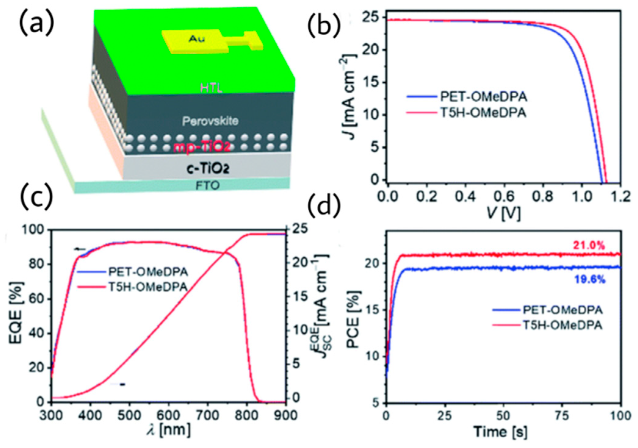 Molecules 28 00510 g013