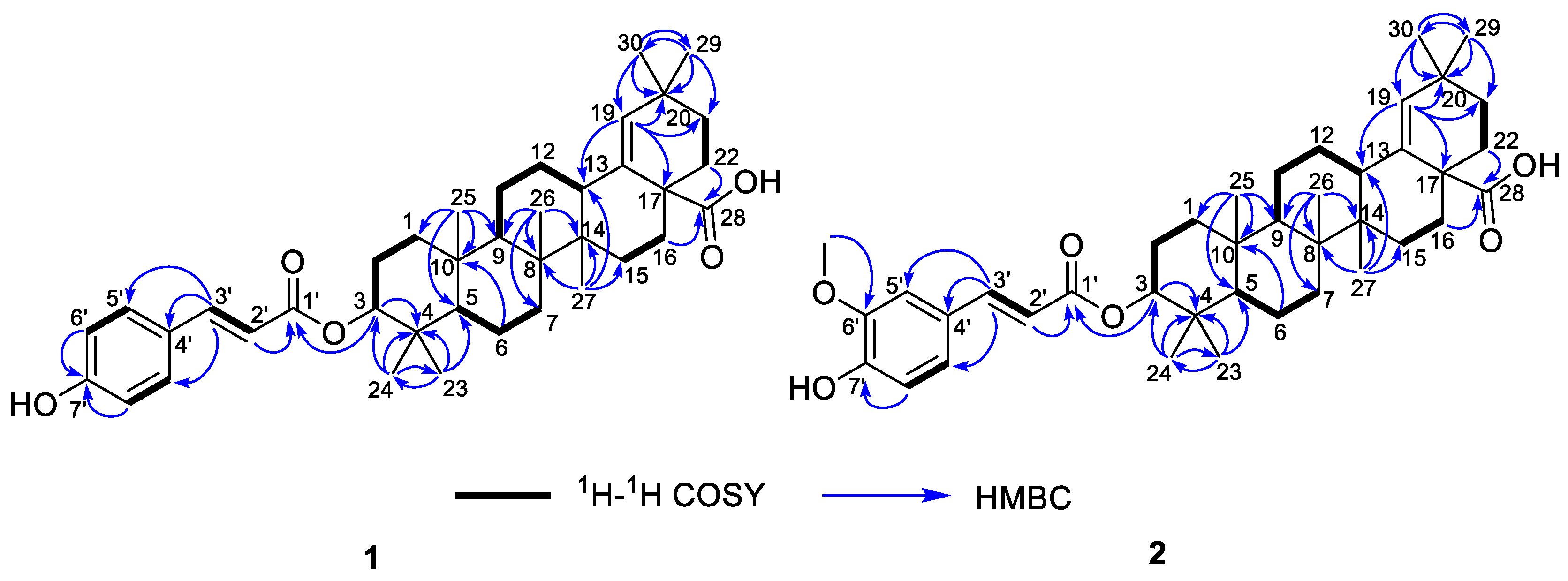 Molecules 28 00511 g002