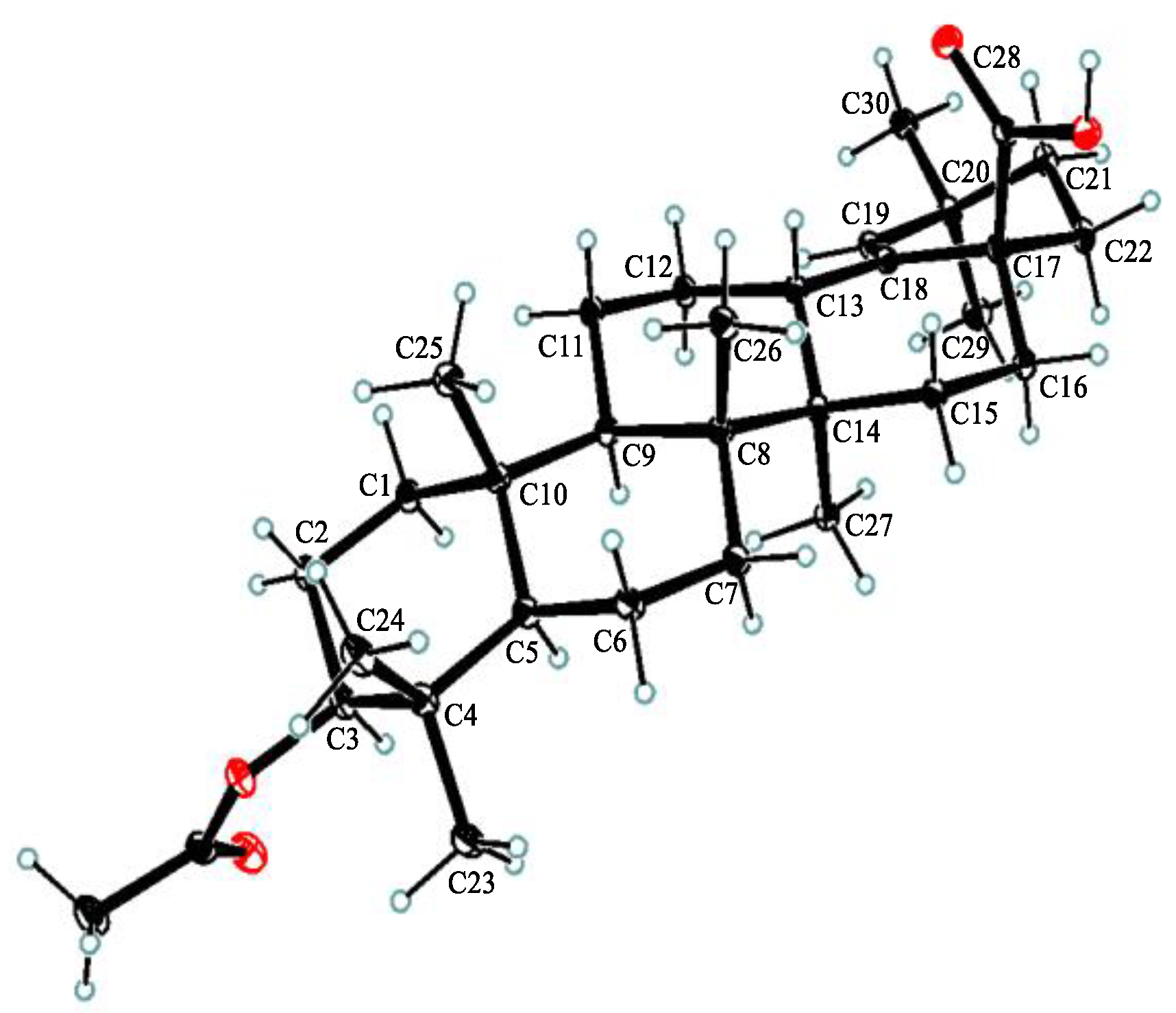 Molecules 28 00511 g004
