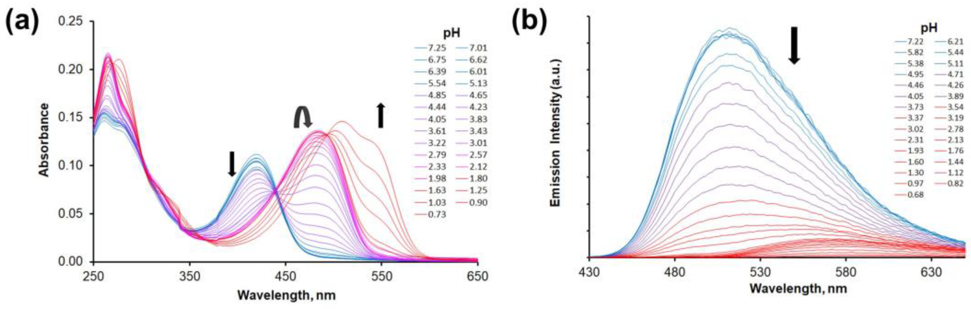 Molecules 28 00512 g005
