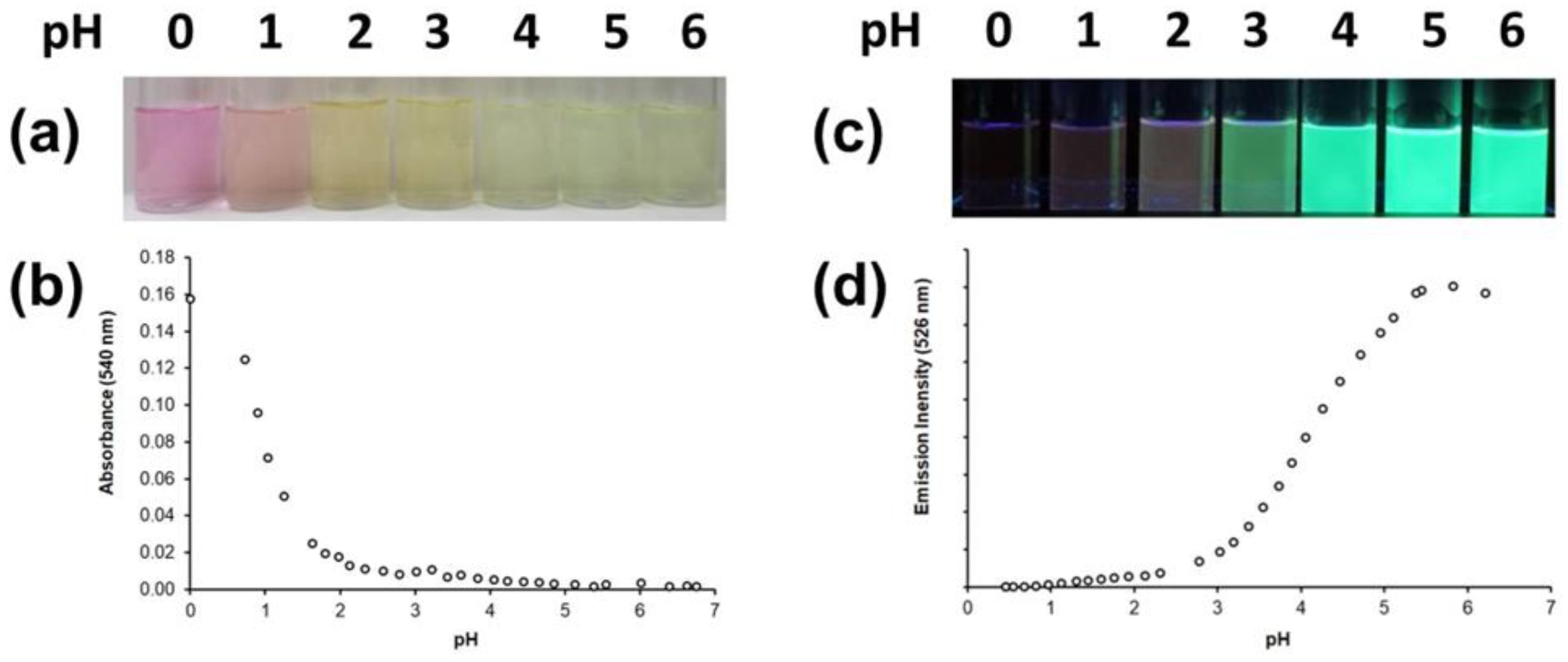Molecules 28 00512 g006