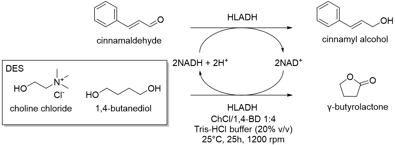 Molecules 28 00516 i002 Molecules 28 00516 i002