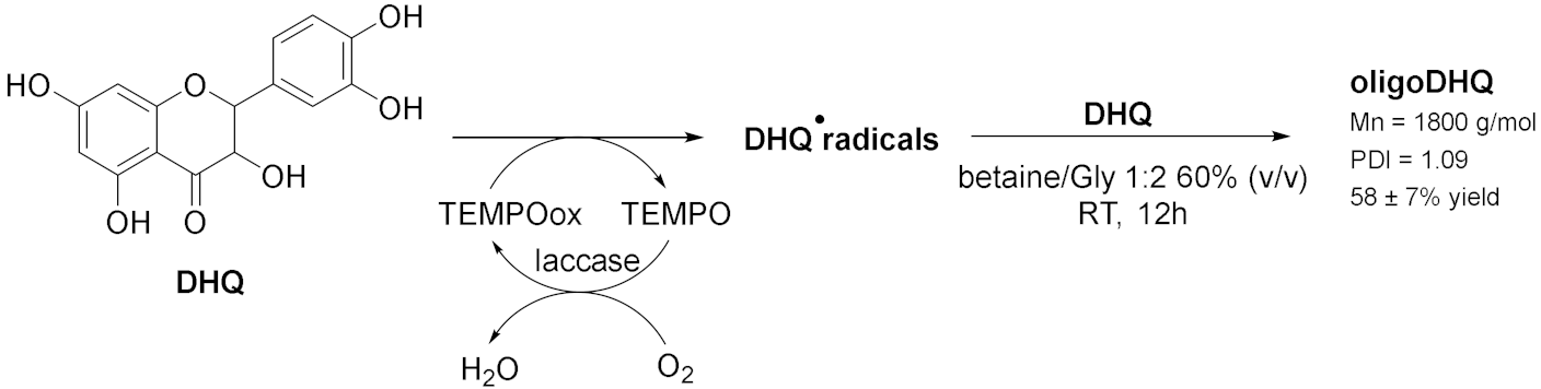 Molecules 28 00516 i016 Molecules 28 00516 i016