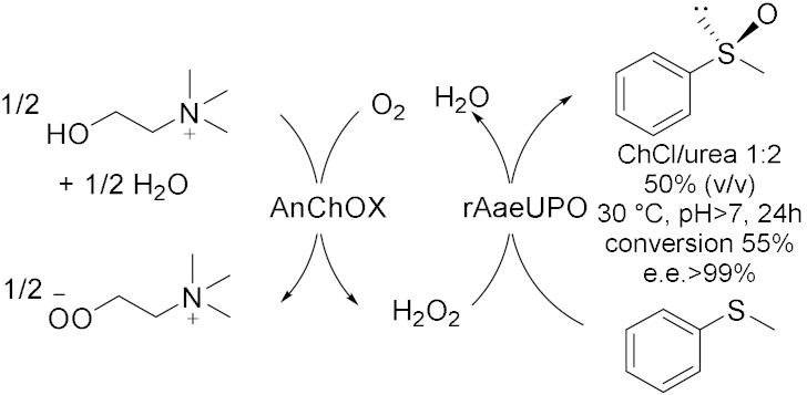 Molecules 28 00516 i019 Molecules 28 00516 i019