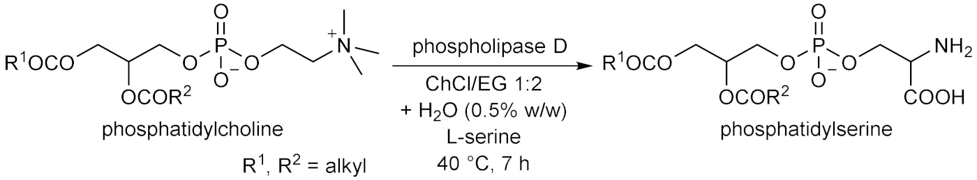 Molecules 28 00516 i071 Molecules 28 00516 i071