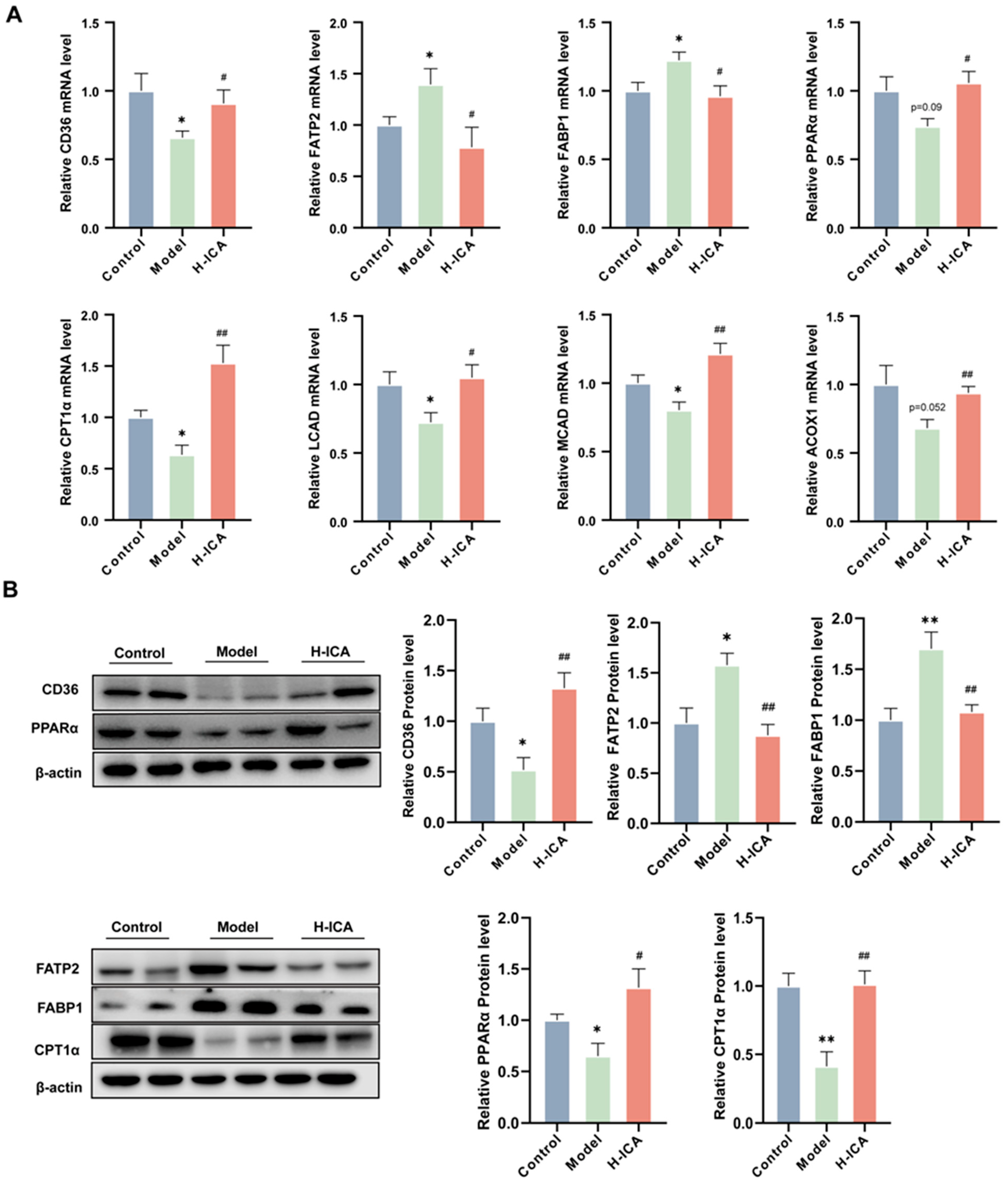 Molecules 28 00517 g004