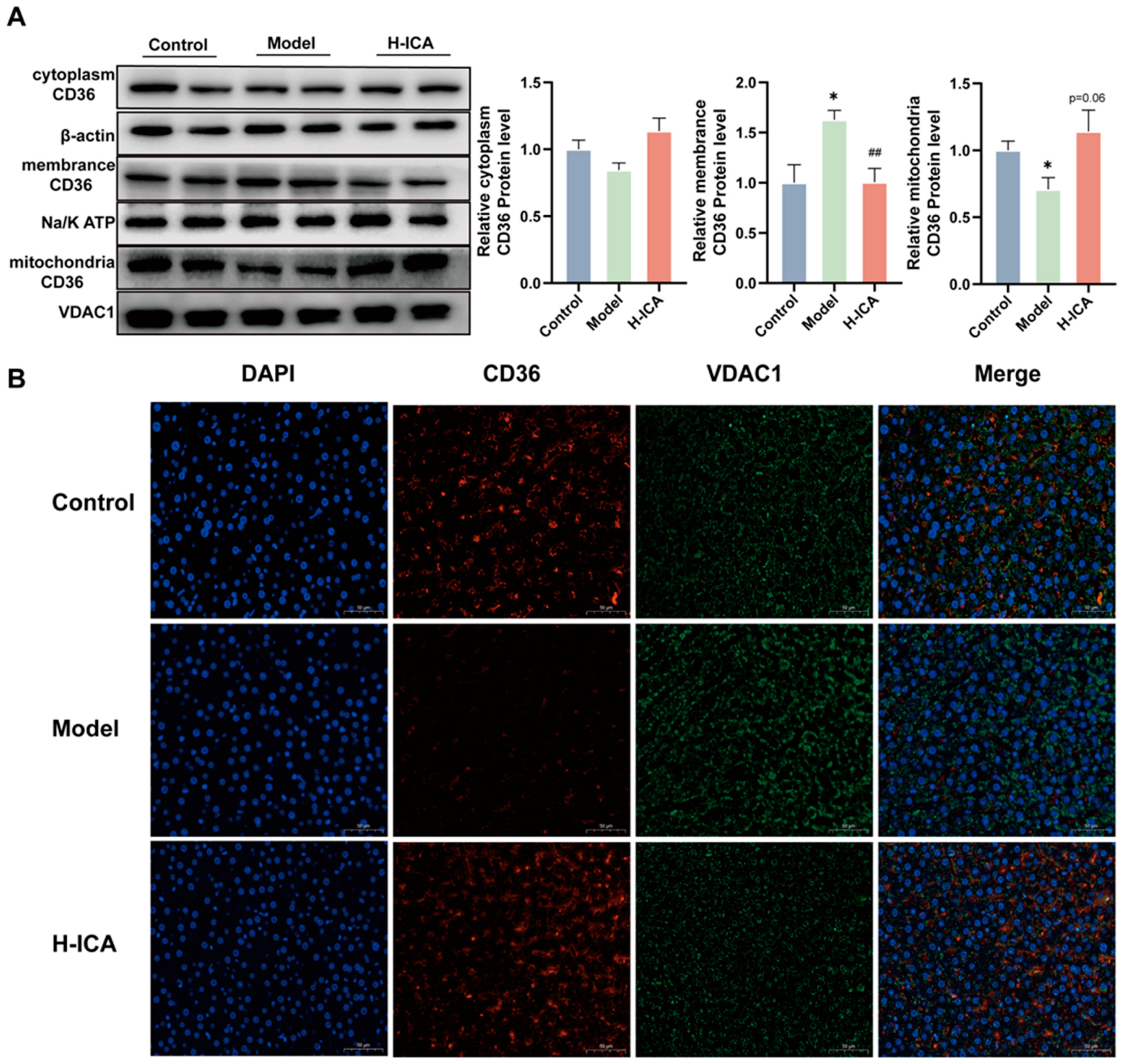 Molecules 28 00517 g005