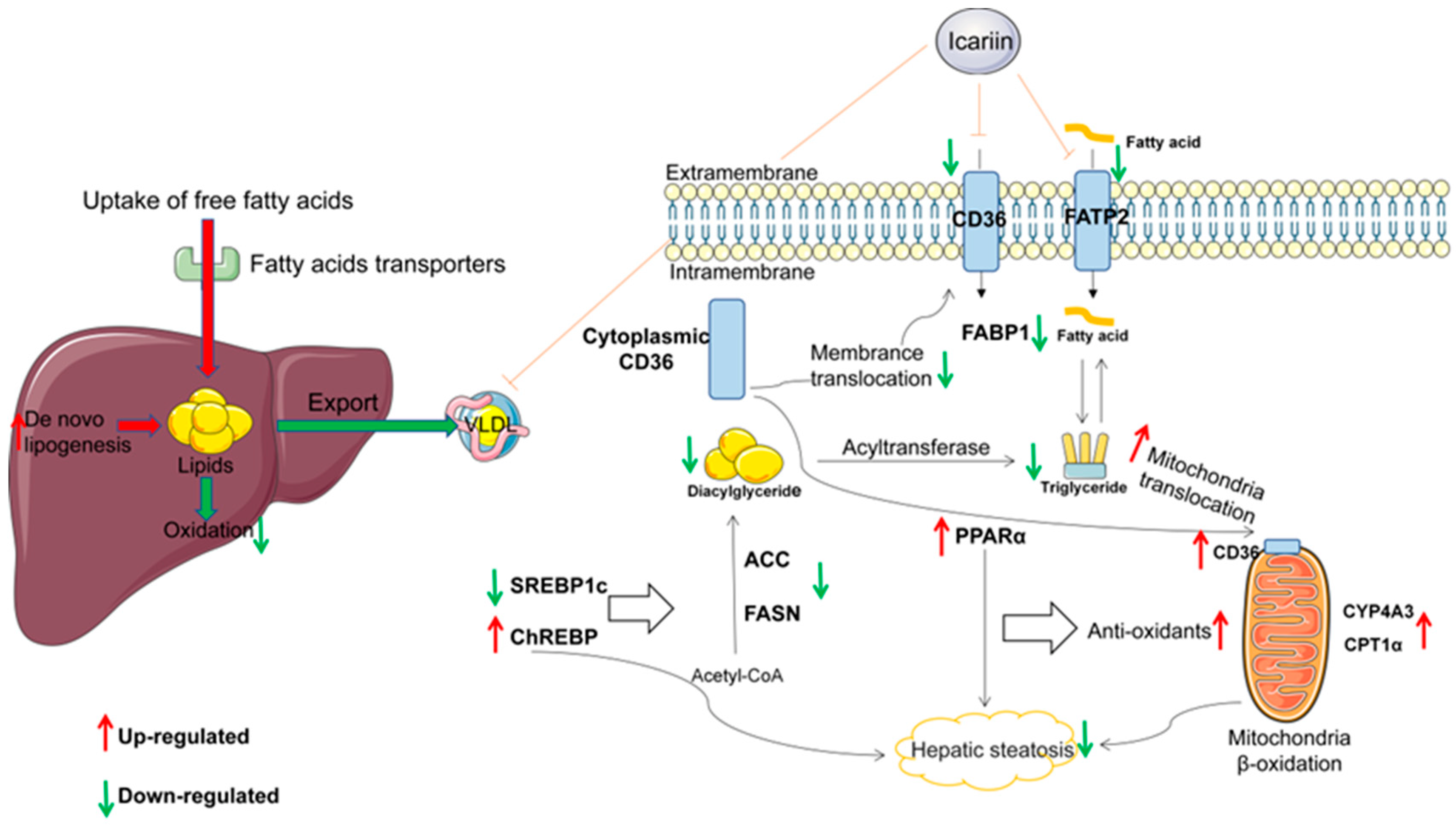Molecules 28 00517 g007