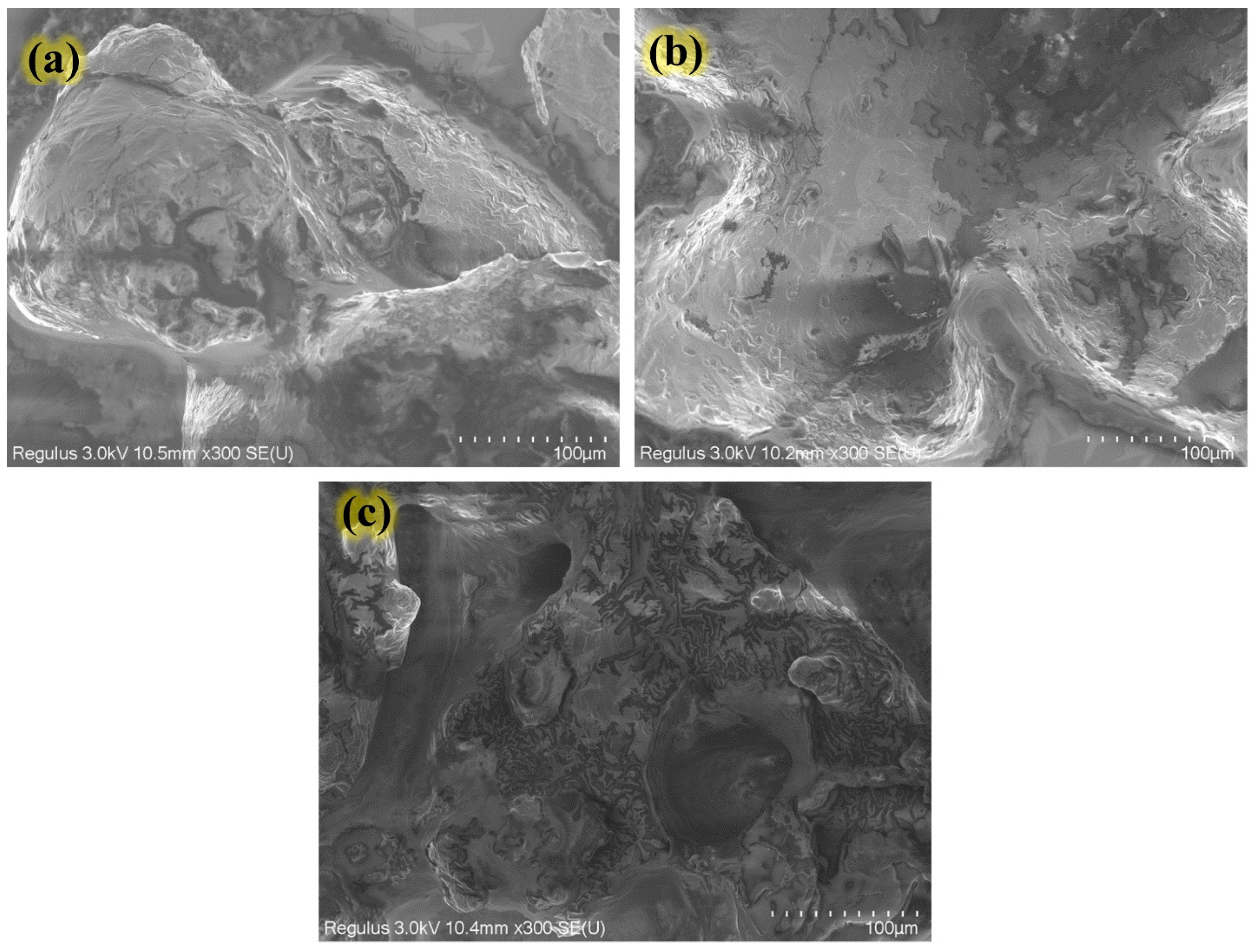 Molecules 28 00519 g003