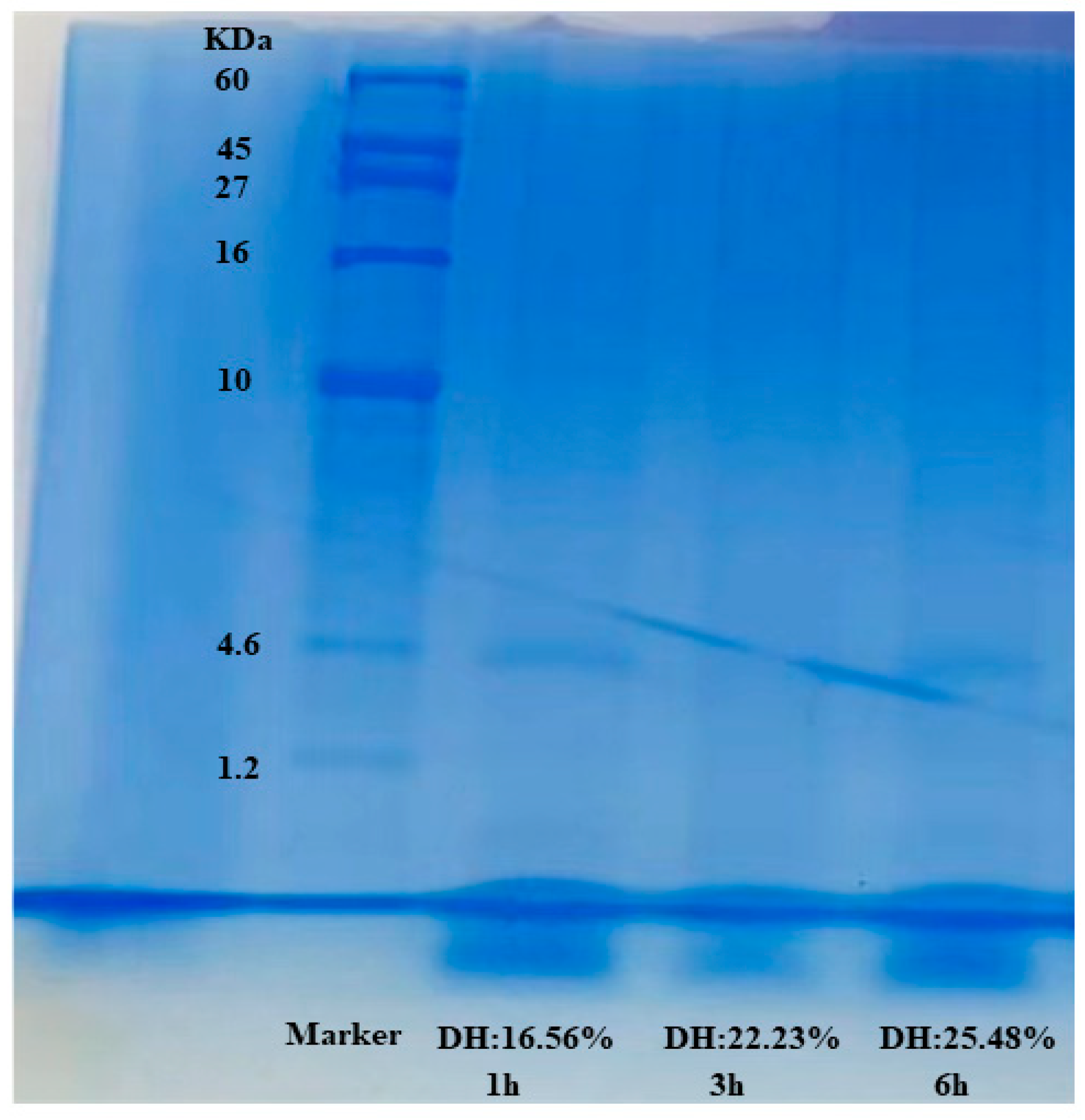Molecules 28 00519 g004