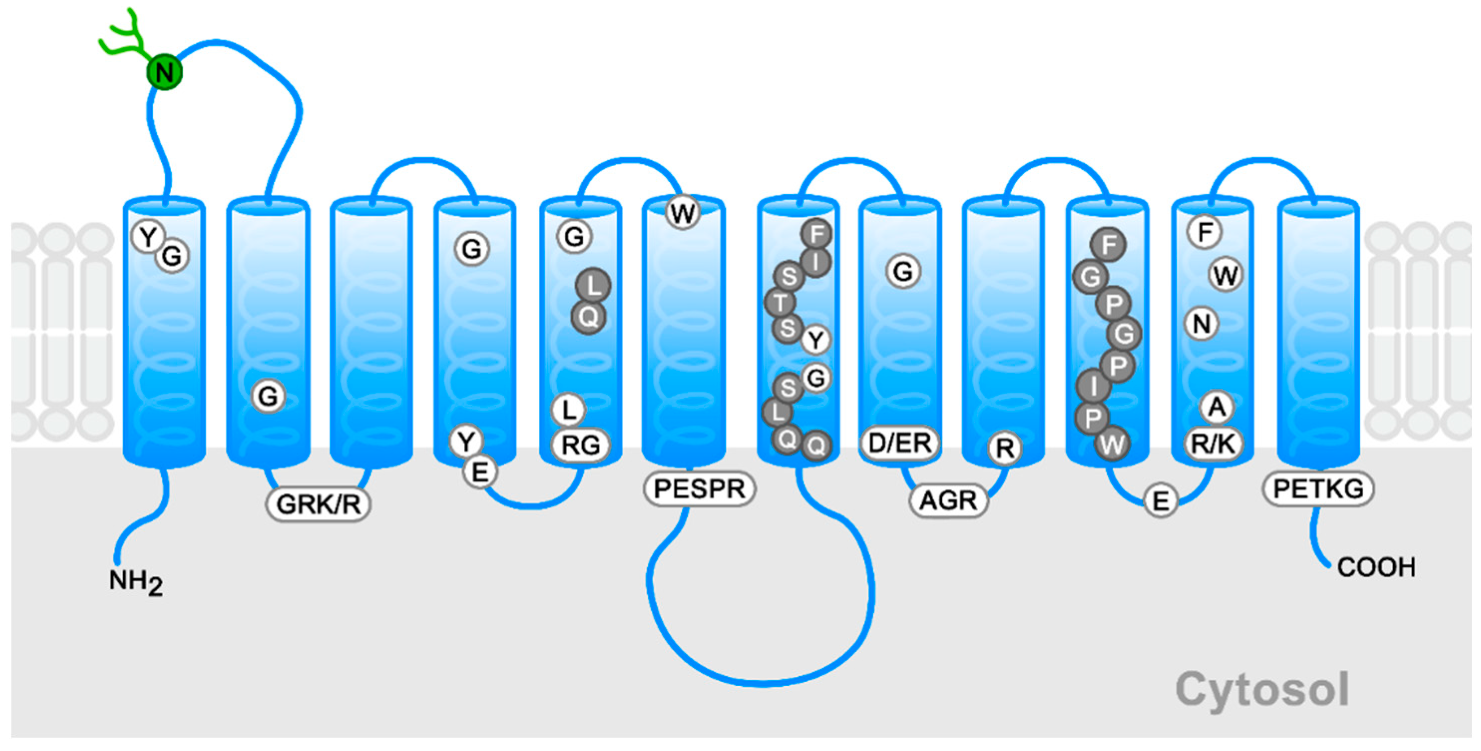 Molecules 28 00521 g001
