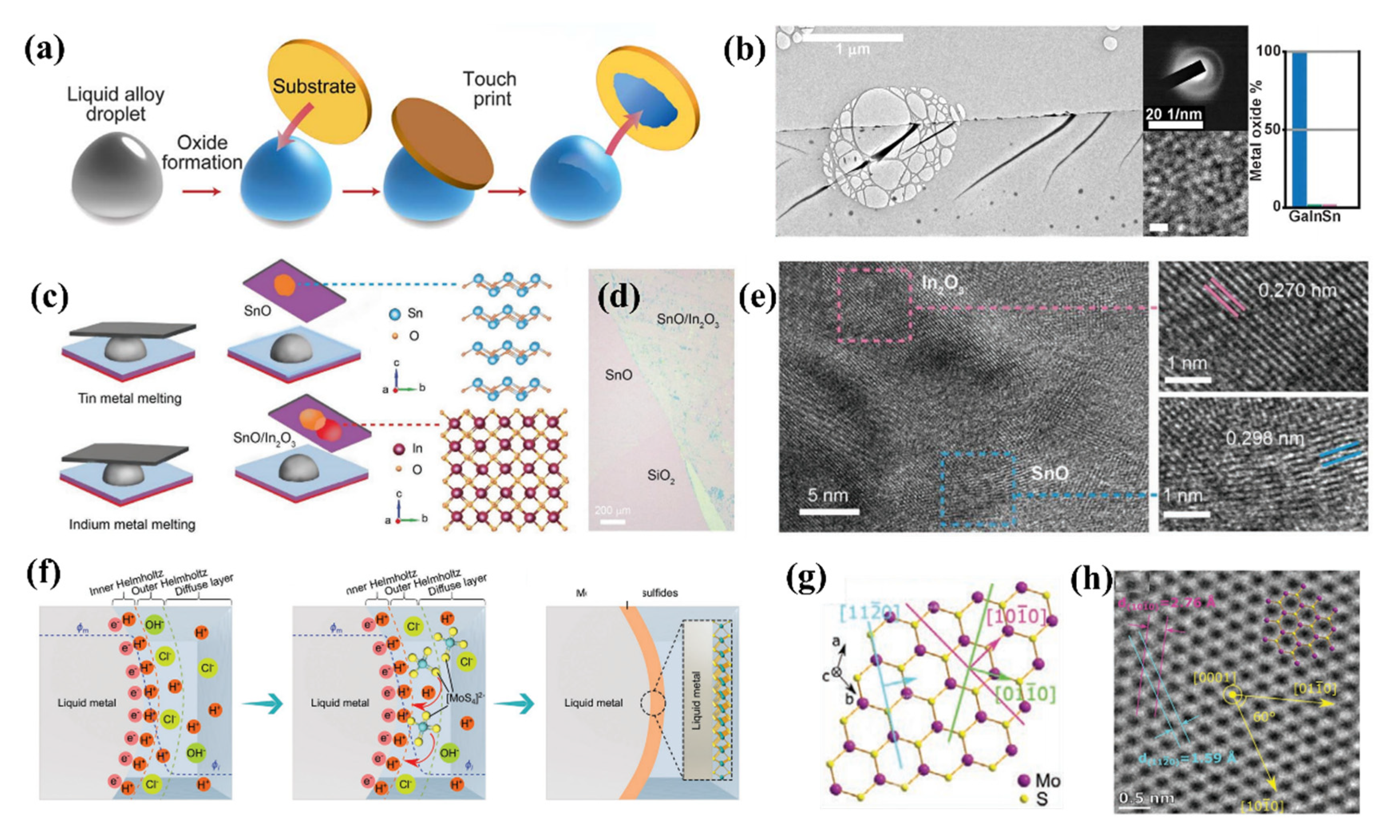 Molecules 28 00524 g002