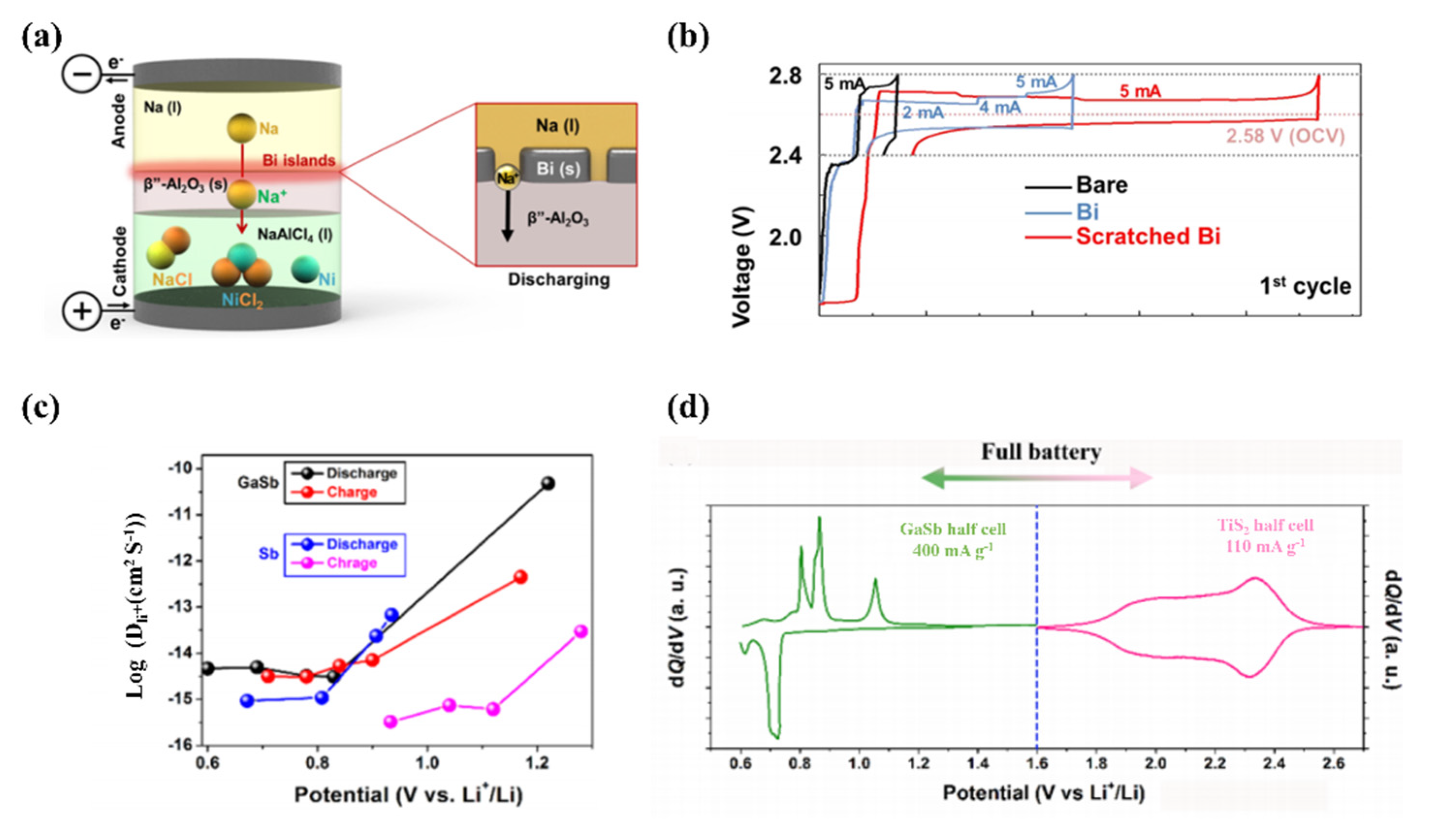 Molecules 28 00524 g006