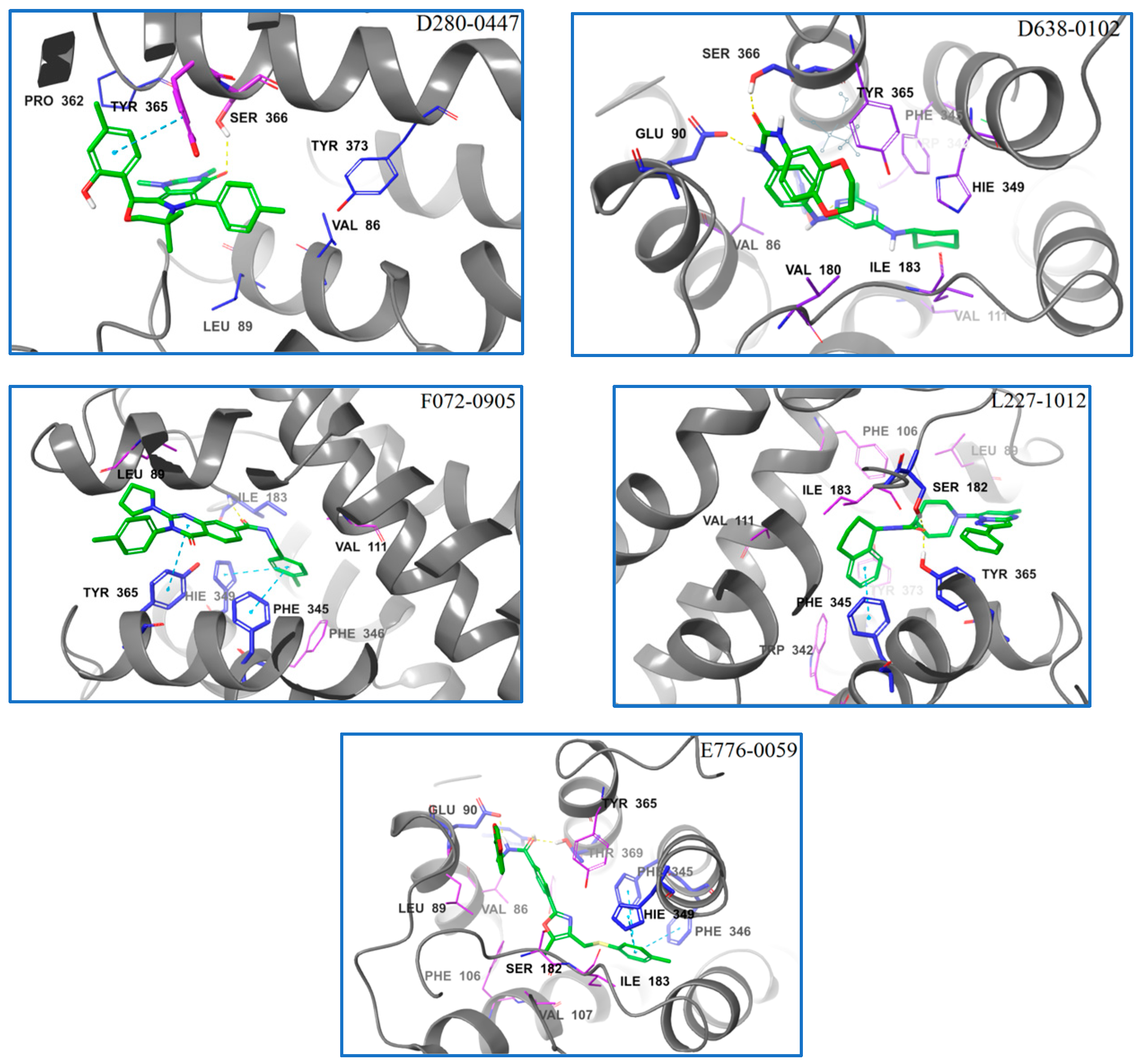 Molecules 28 00527 g004
