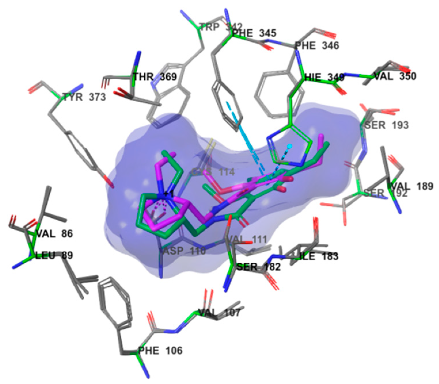 Molecules 28 00527 g007