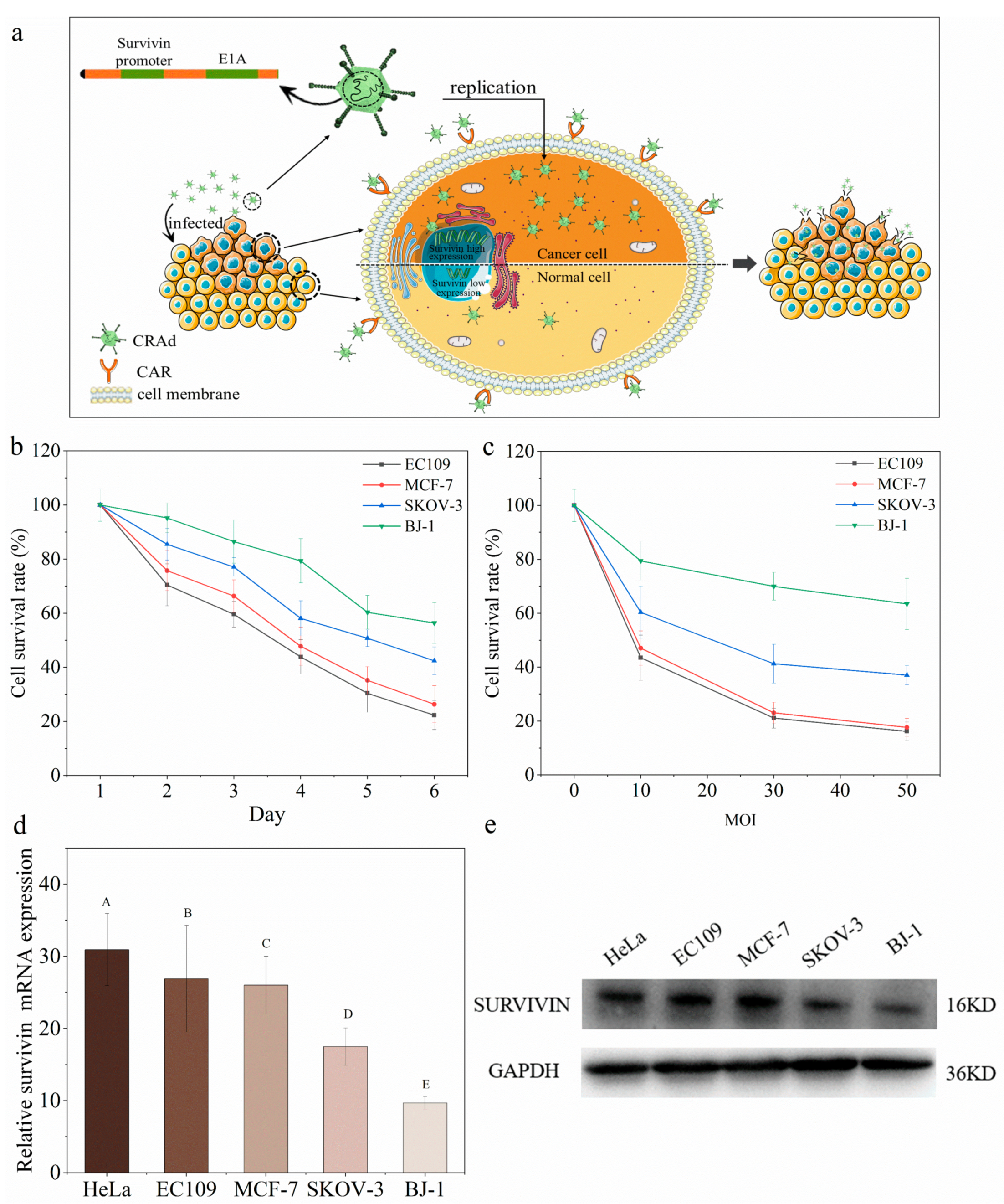 Molecules 28 00528 g001 Molecules 28 00528 g001