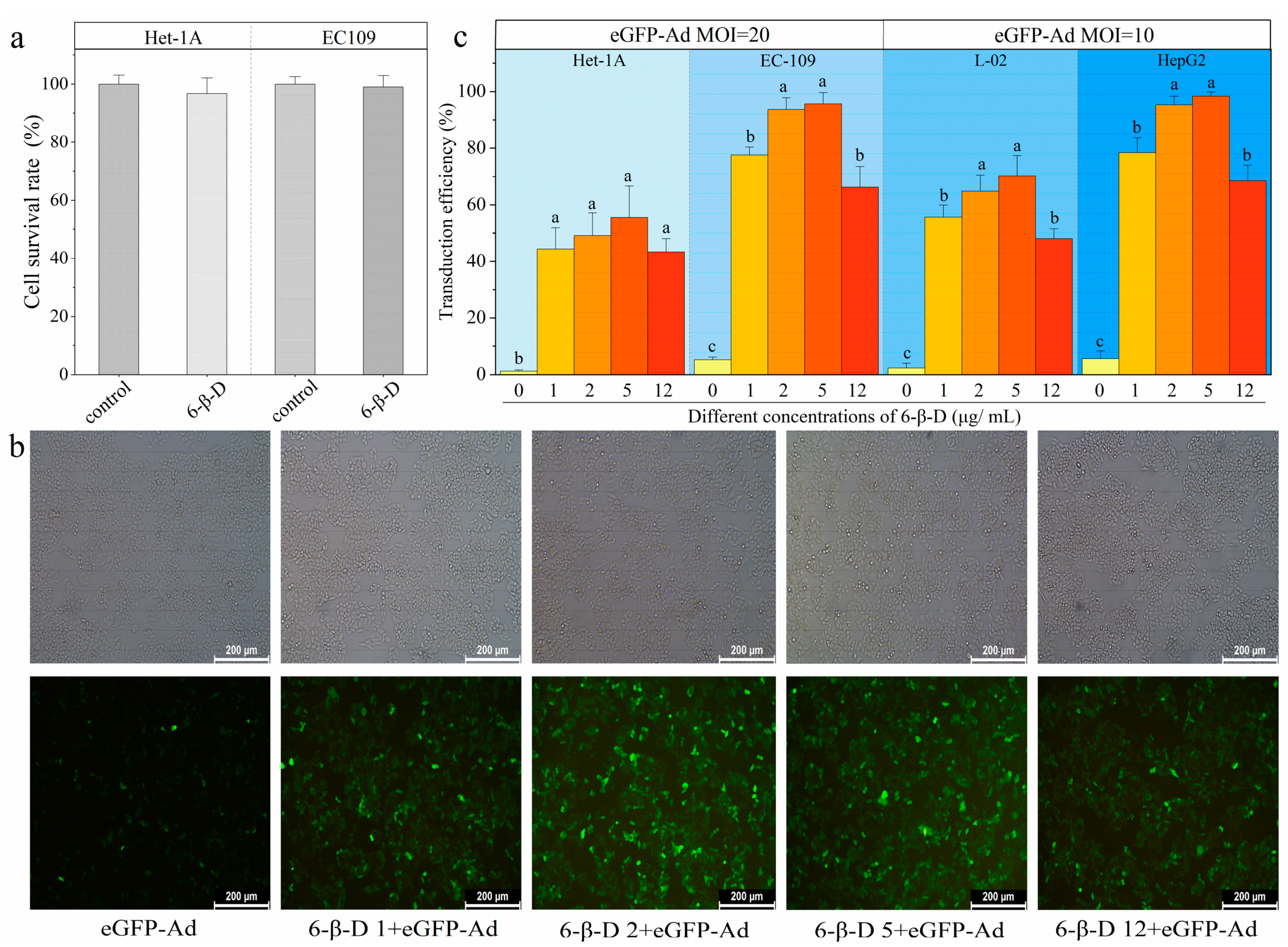 Molecules 28 00528 g002 Molecules 28 00528 g002