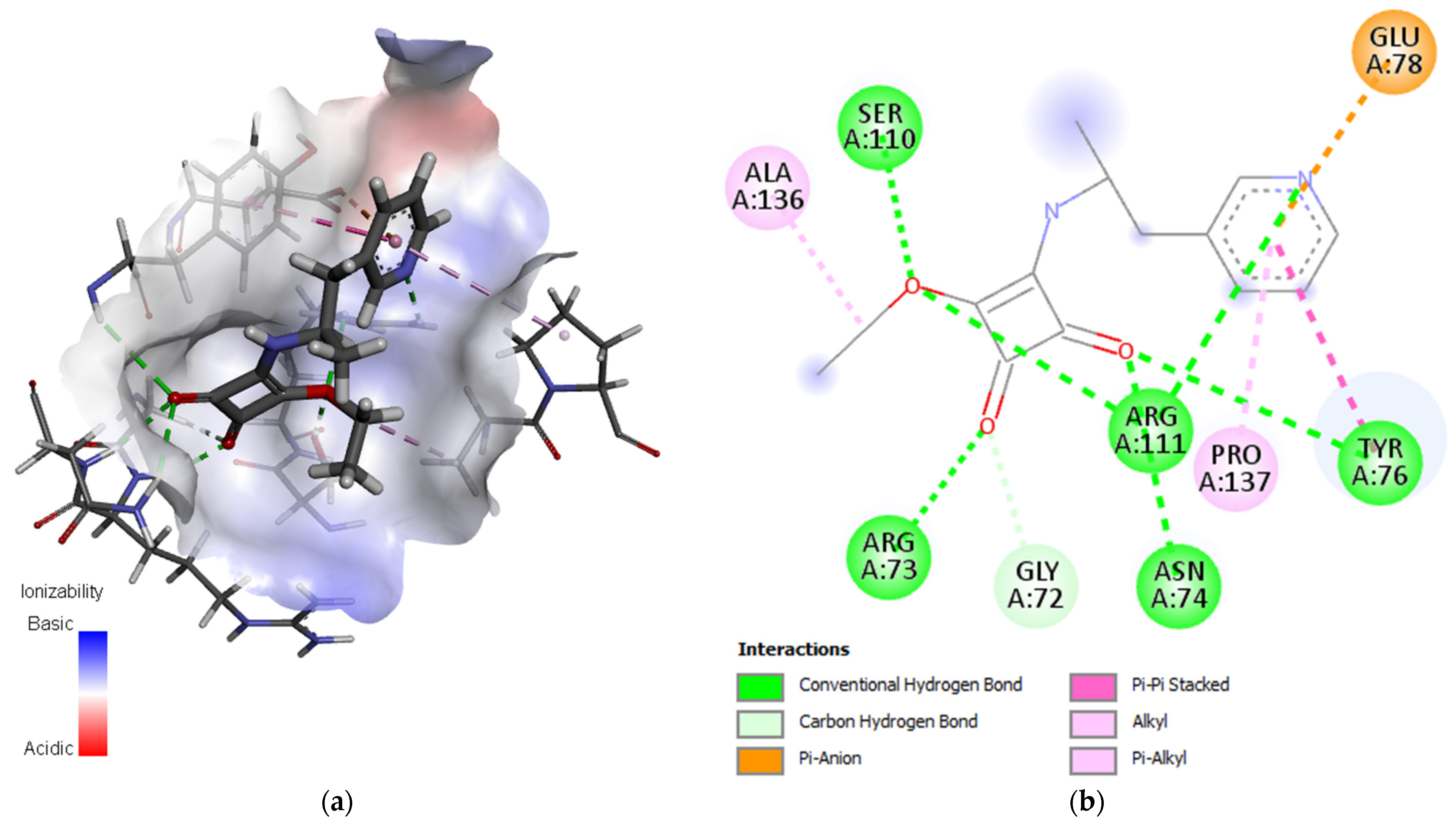Molecules 28 00538 g007
