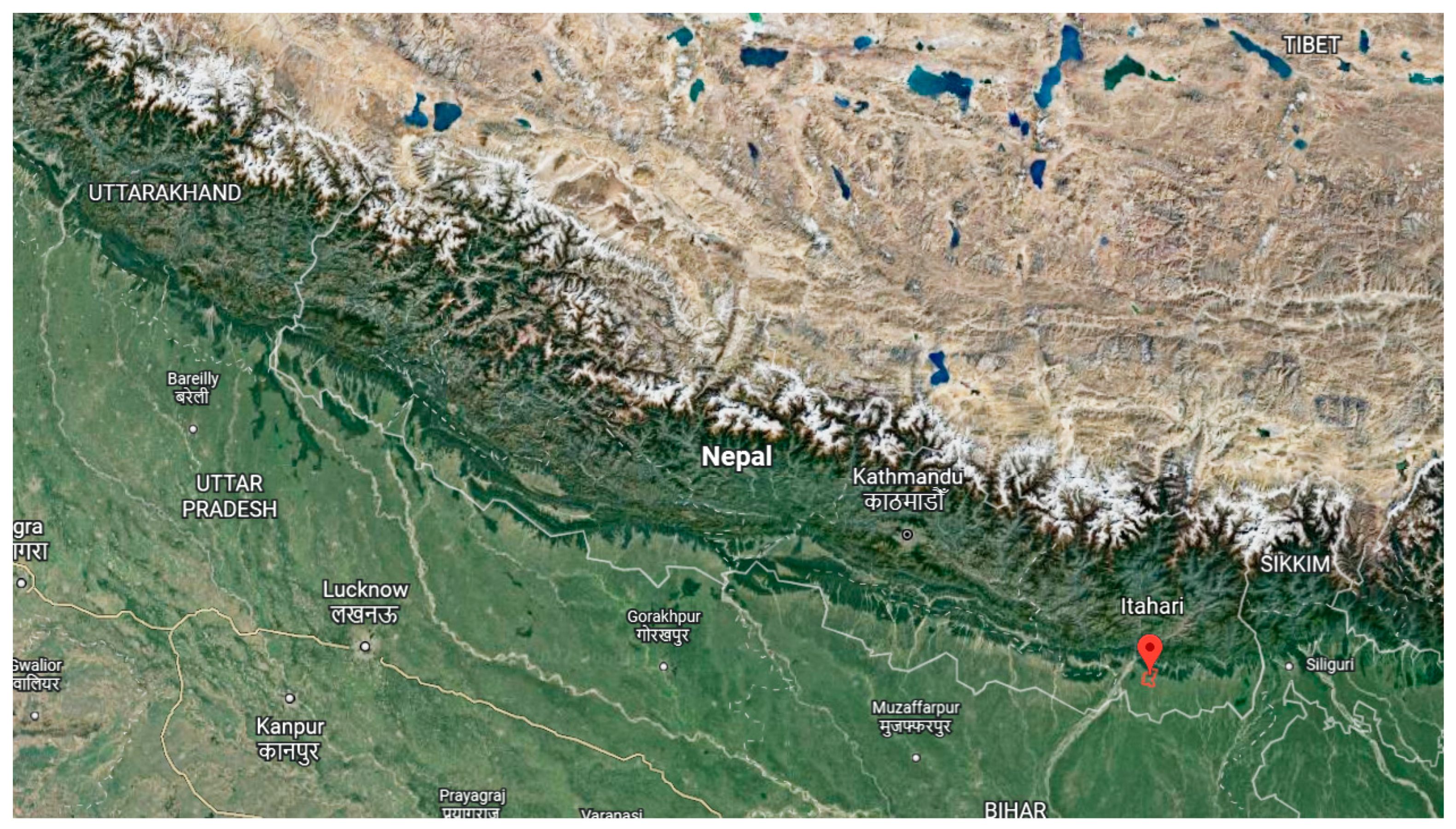 Molecules 28 00543 g002