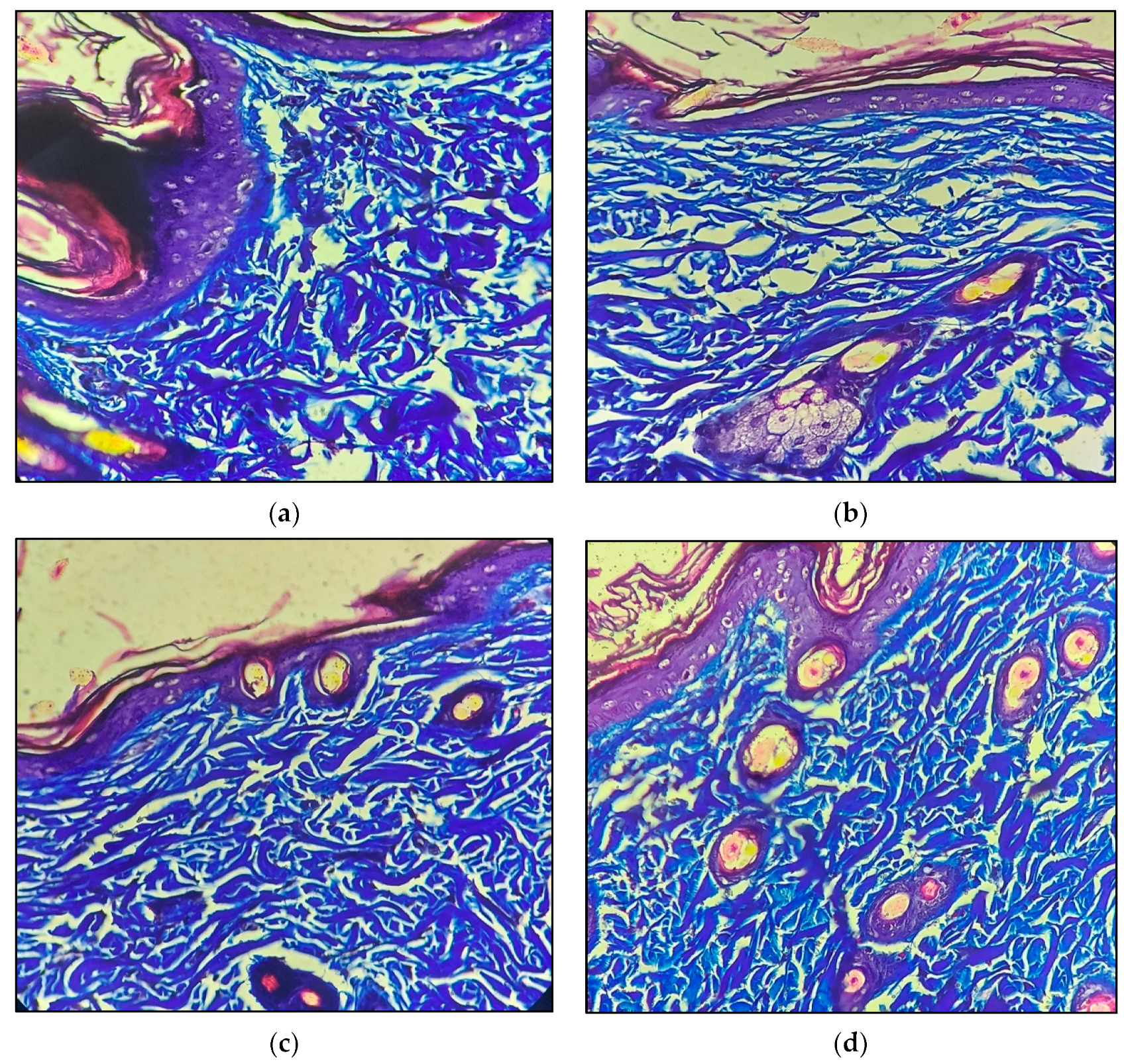 Molecules 28 00545 g007