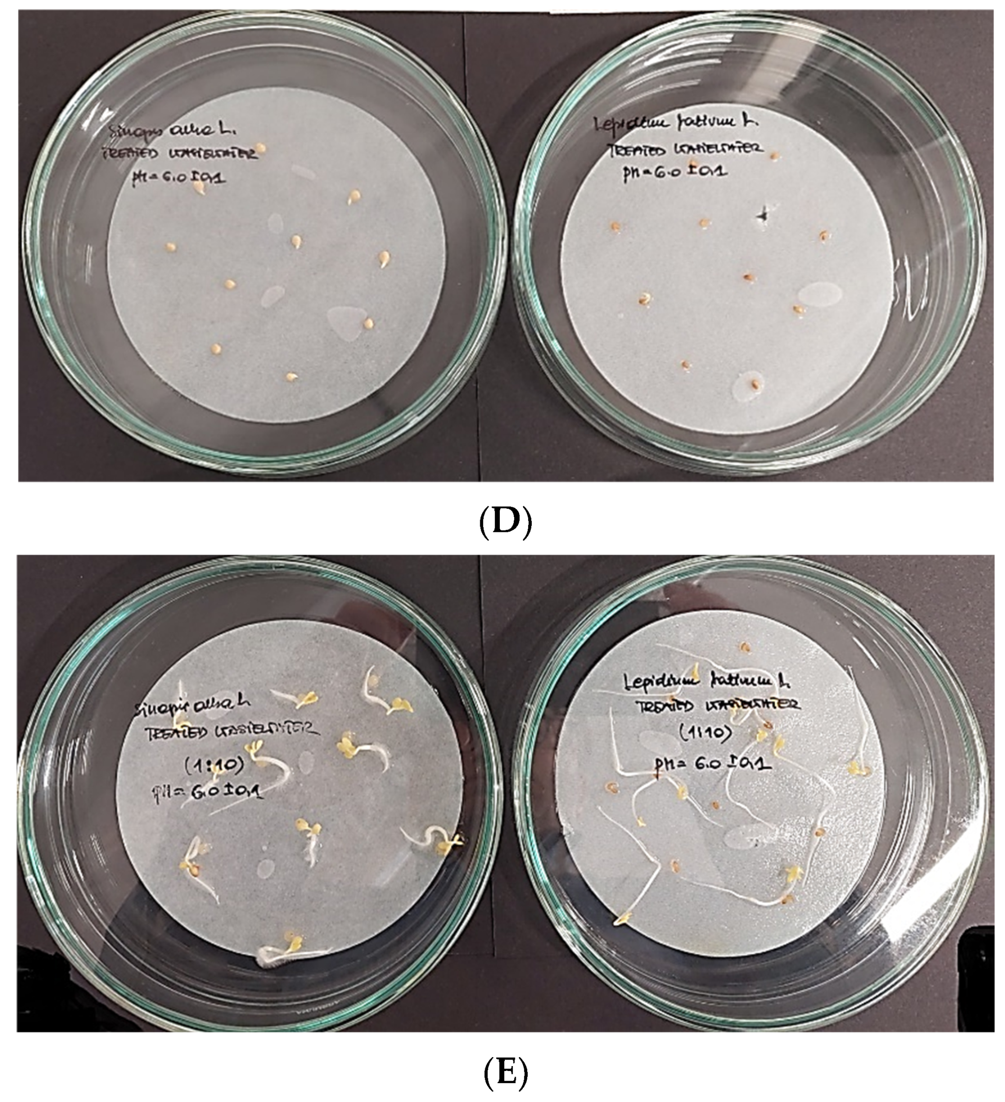 Molecules 28 00546 g005b