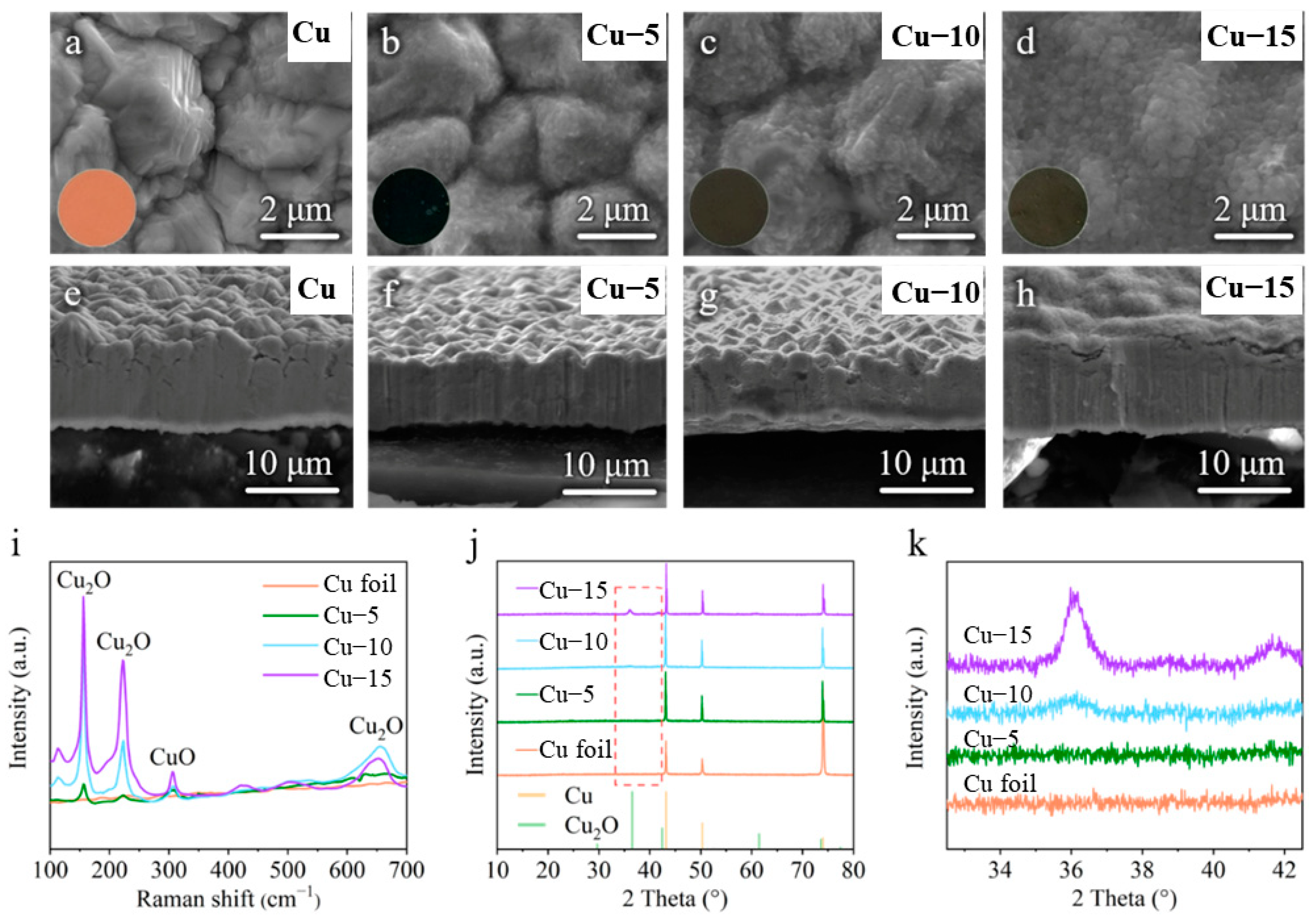 Molecules 28 00548 g001 Molecules 28 00548 g001