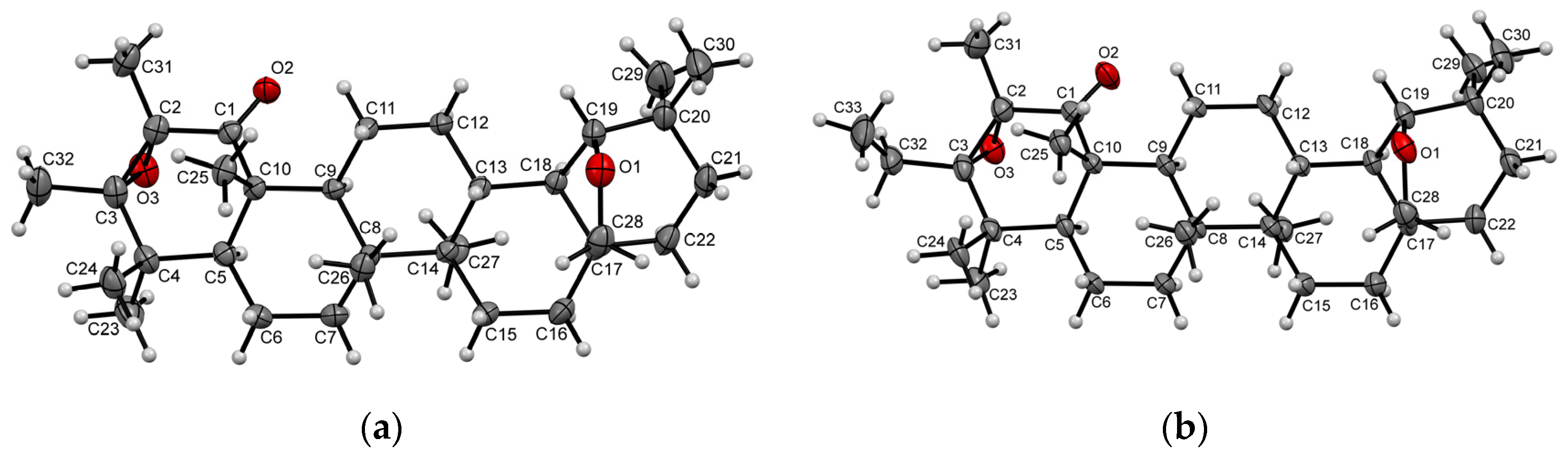 Molecules 28 00550 g002
