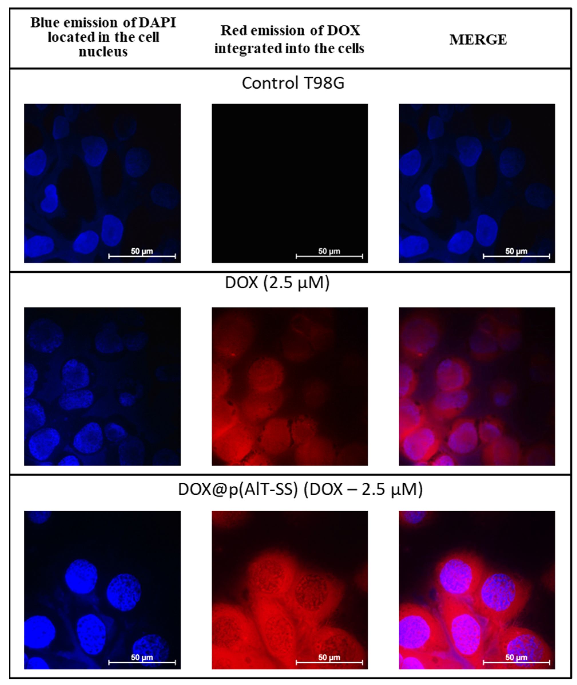 Molecules 28 00551 g005