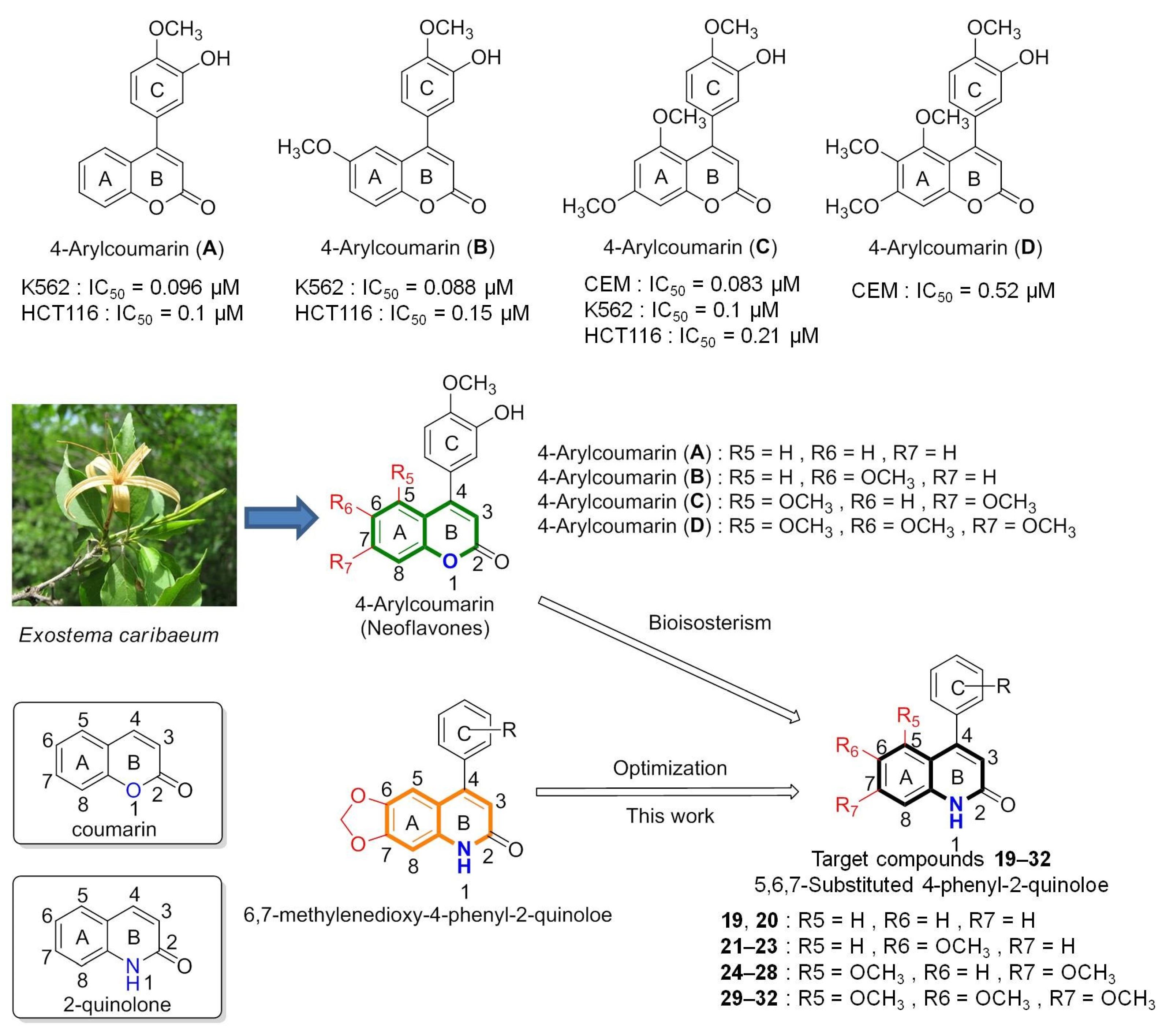 Molecules 28 00555 g002