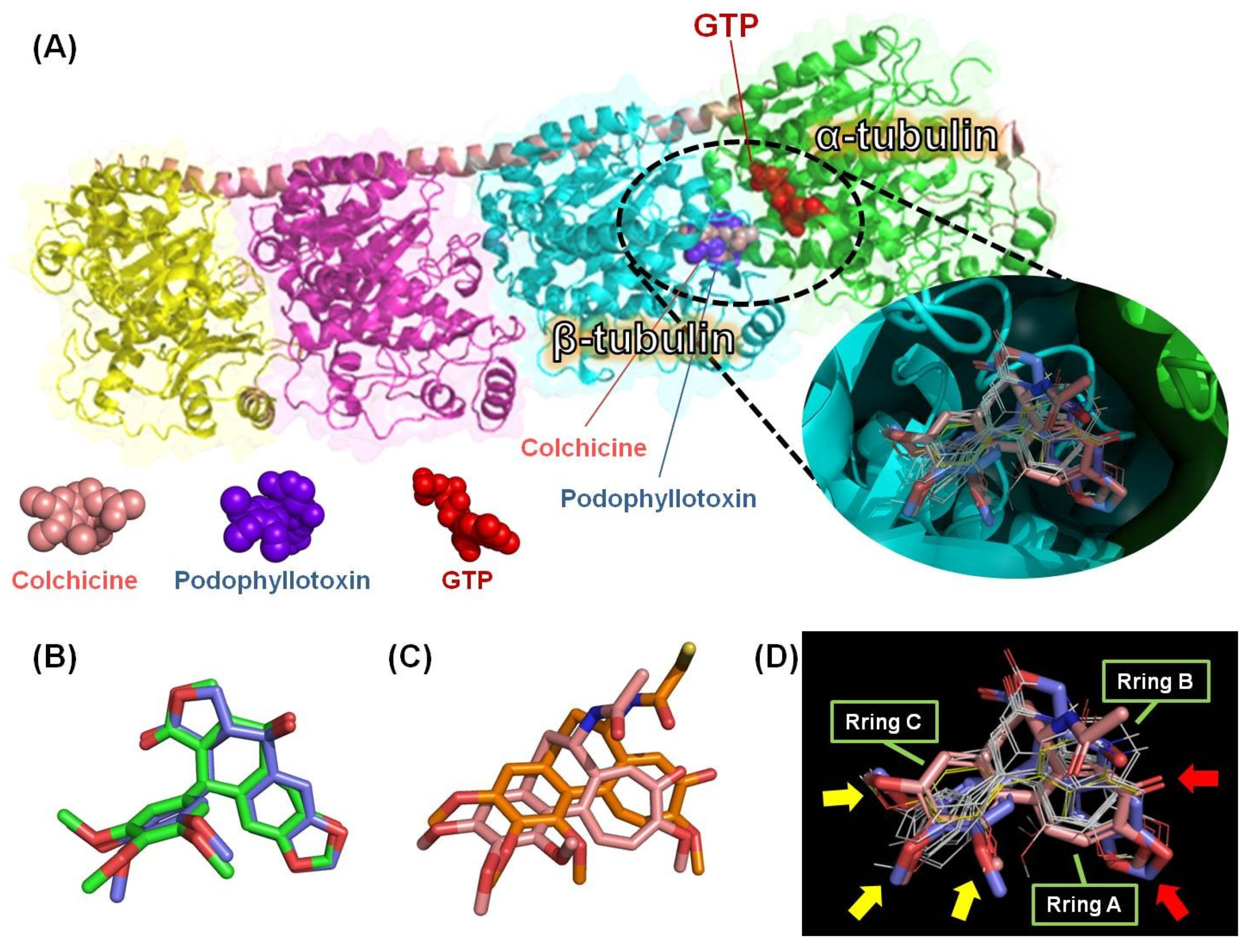 Molecules 28 00555 g003