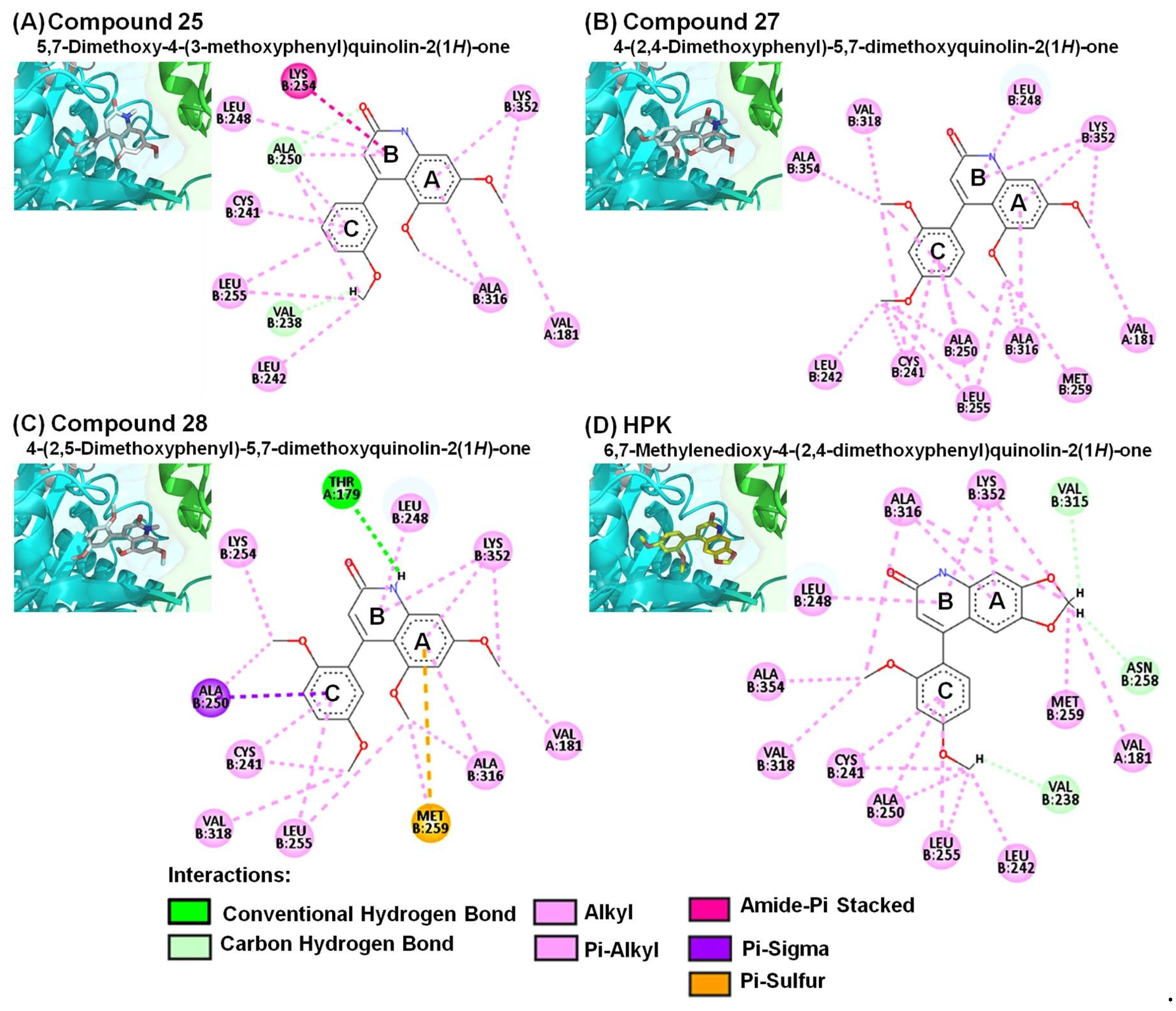 Molecules 28 00555 g006