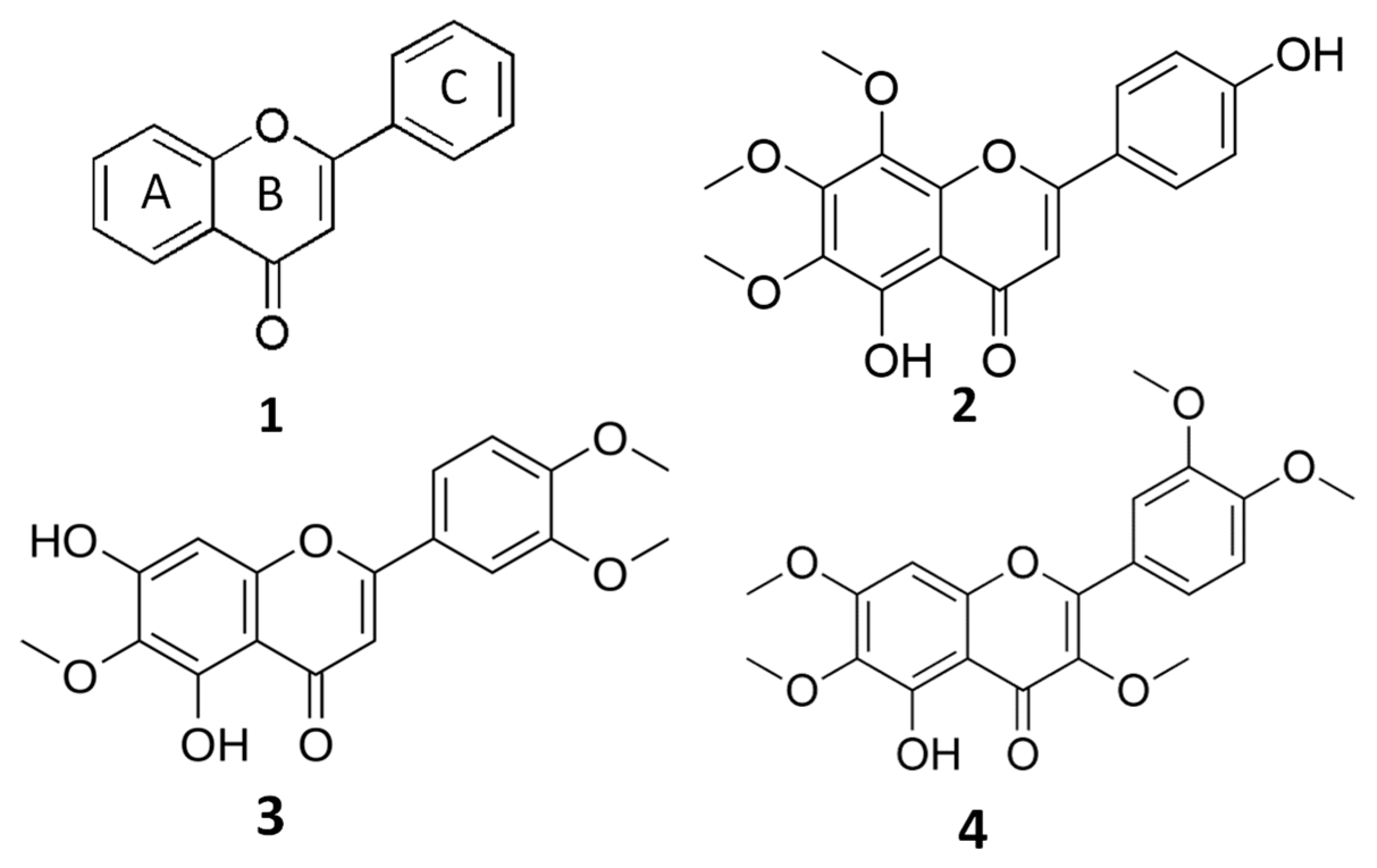 Molecules 28 00558 g001