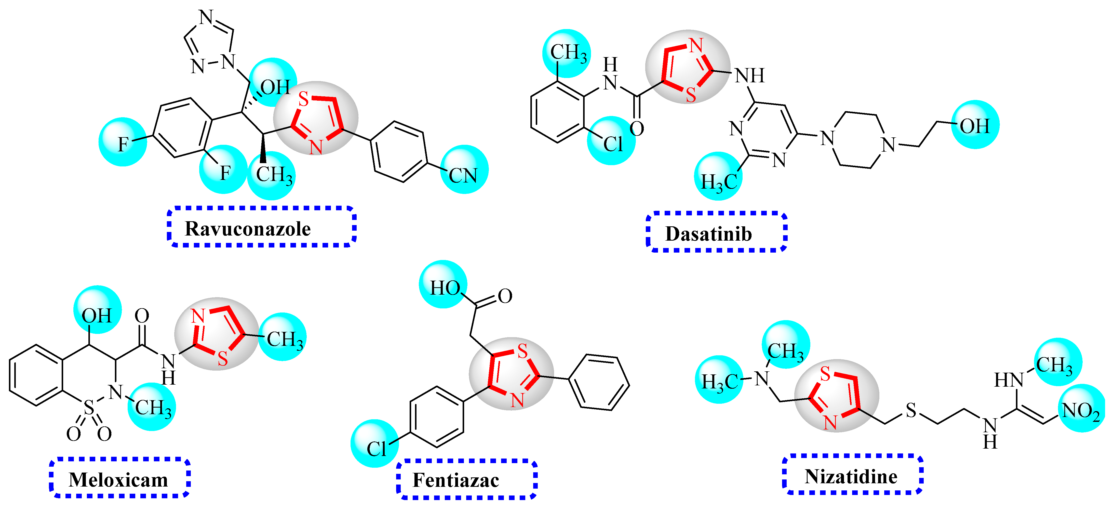 Molecules 28 00559 g001