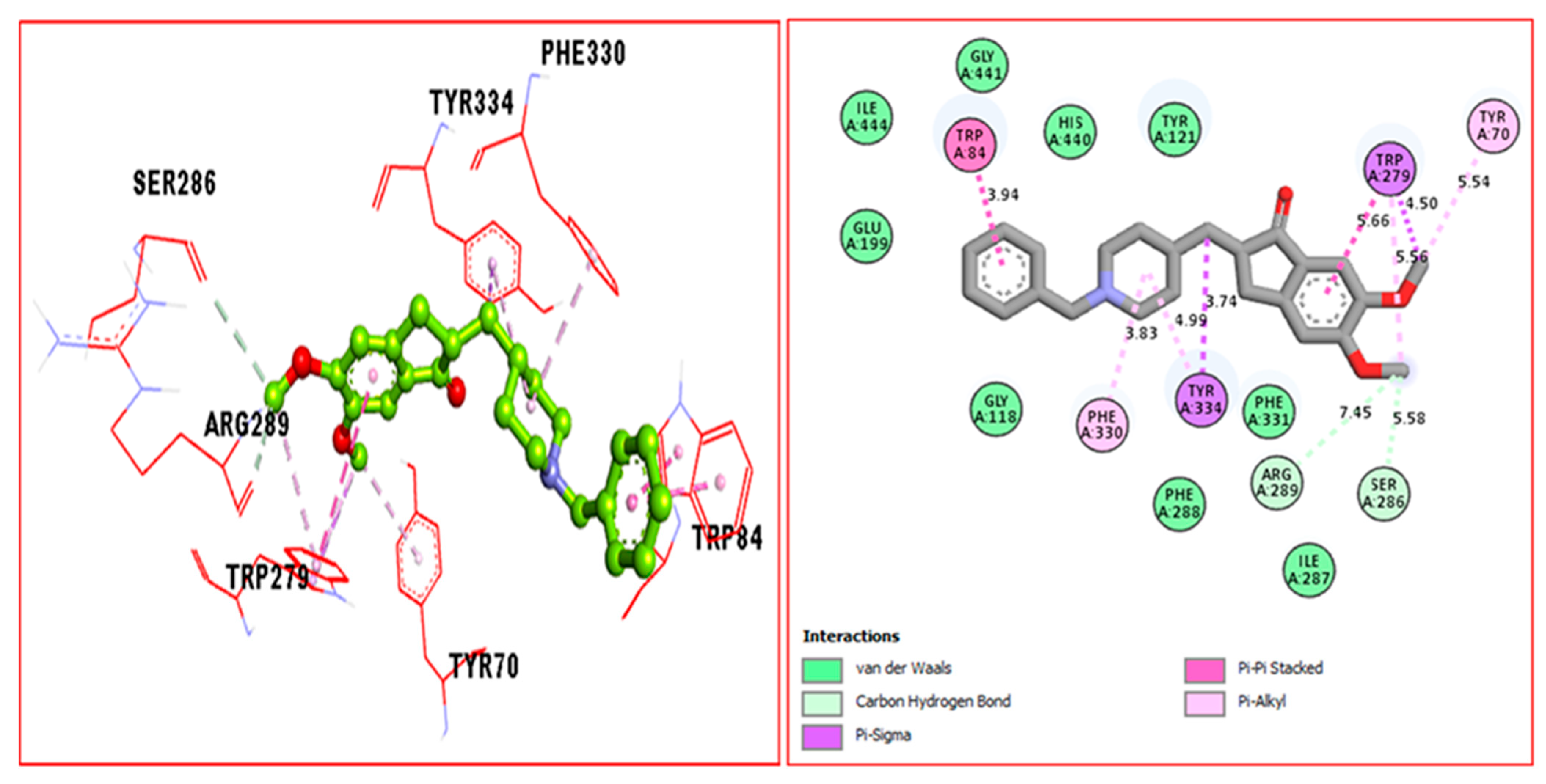 Molecules 28 00559 g013