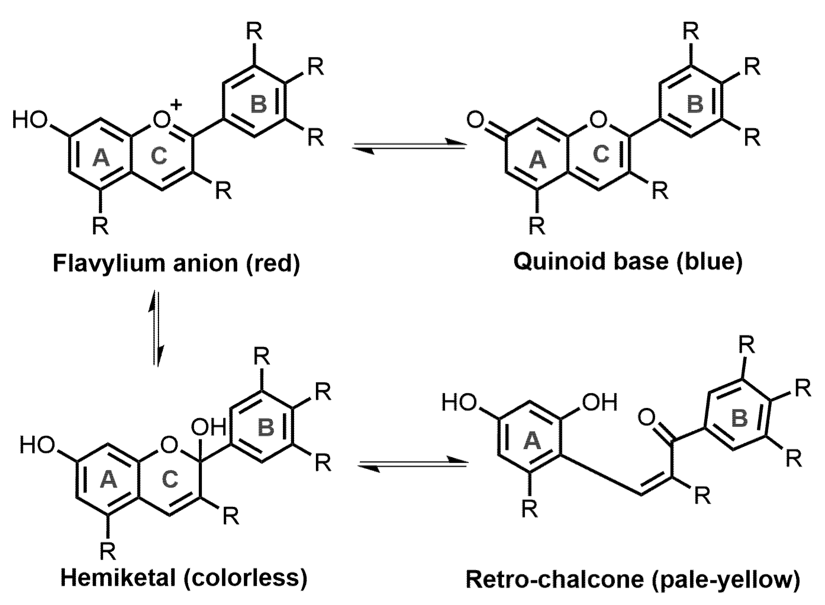 Molecules 28 00560 g002