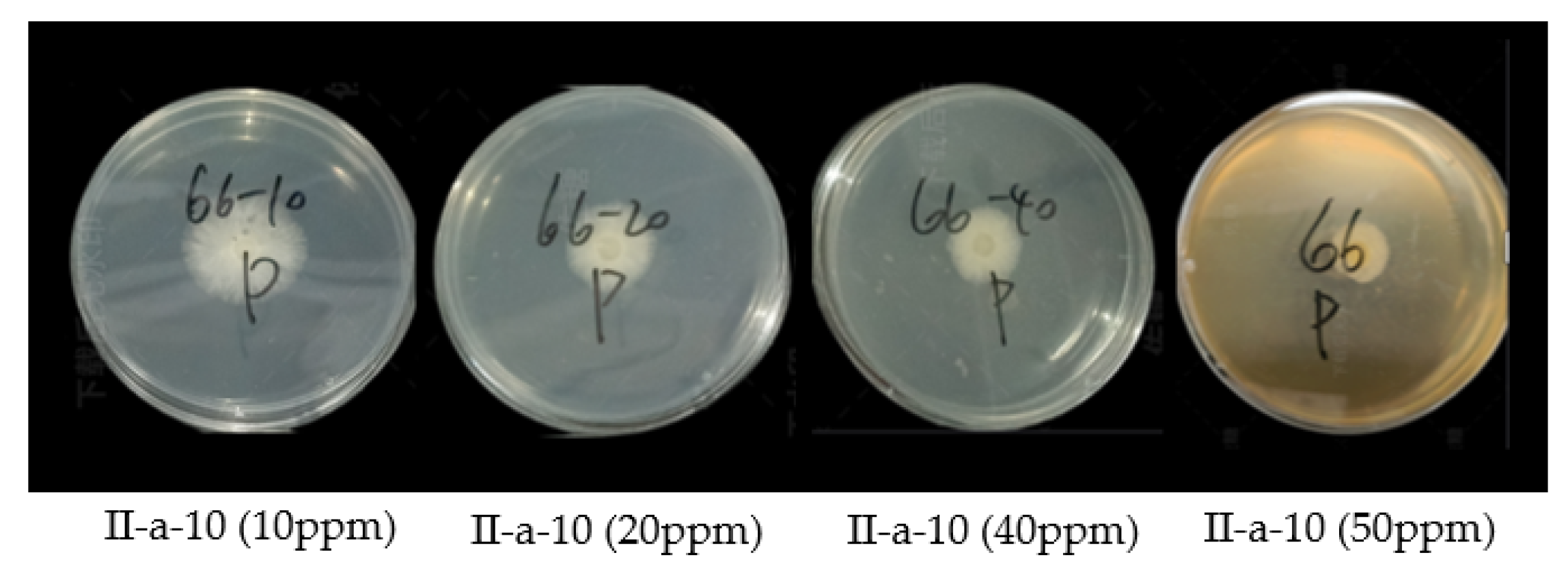 Molecules 28 00561 g007