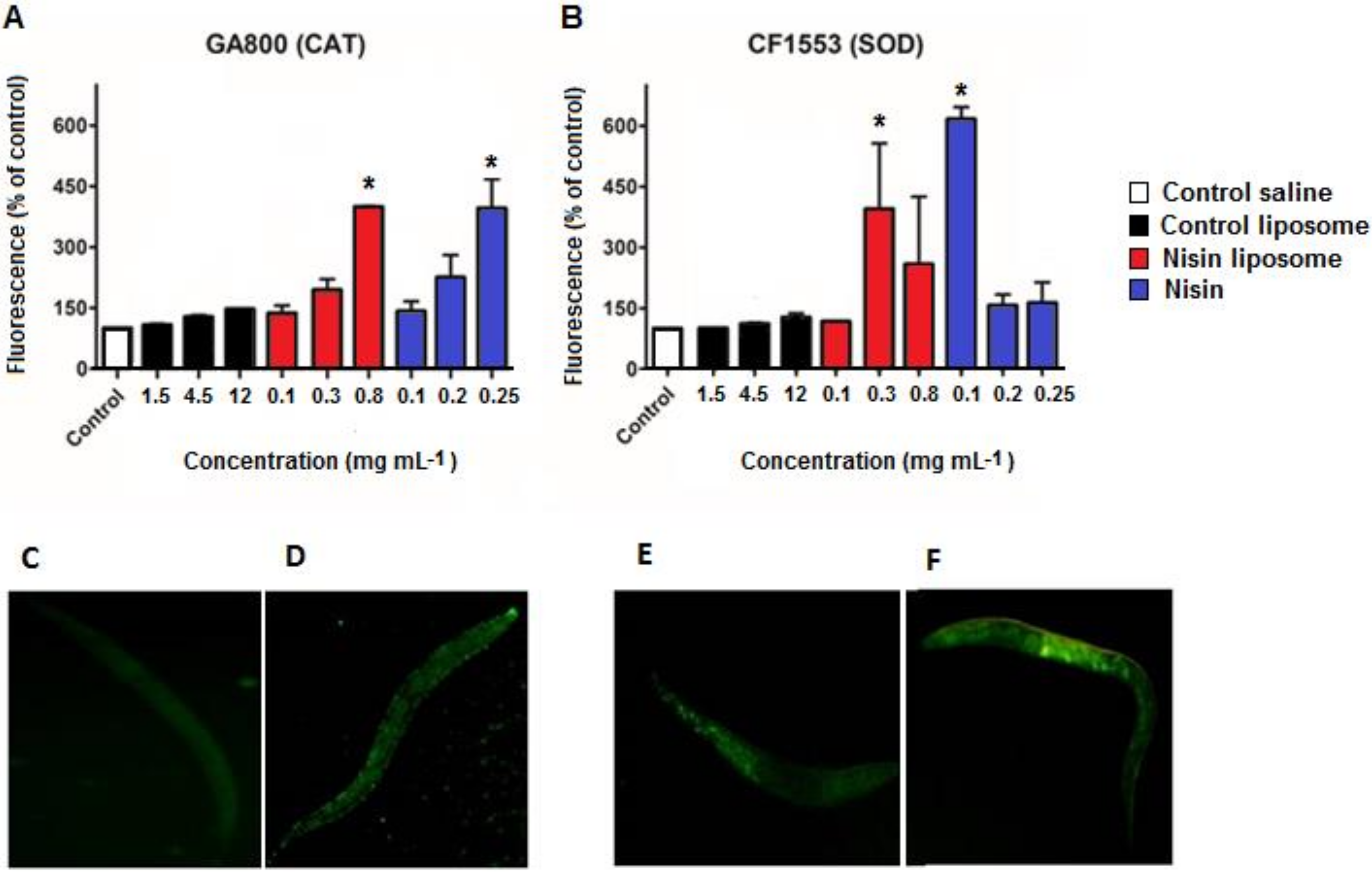 Molecules 28 00563 g003