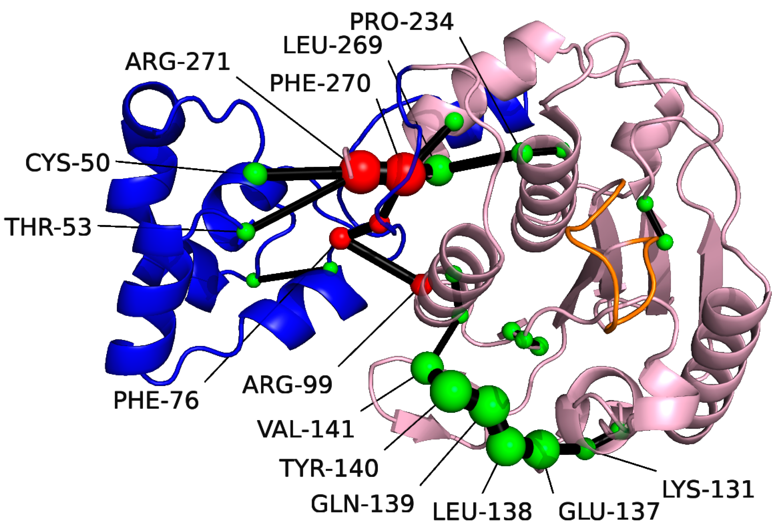 Molecules 28 00570 g004