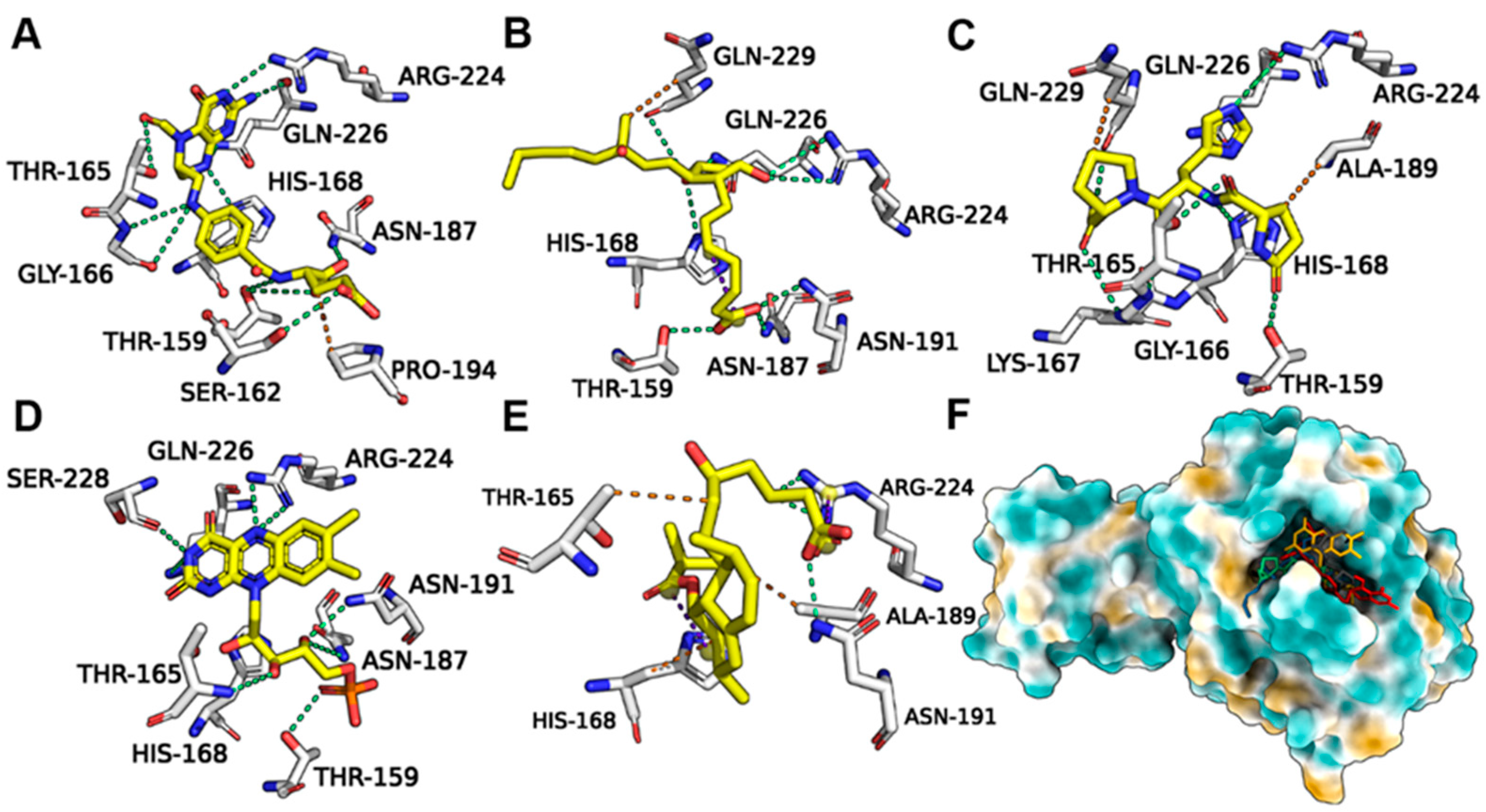 Molecules 28 00570 g005