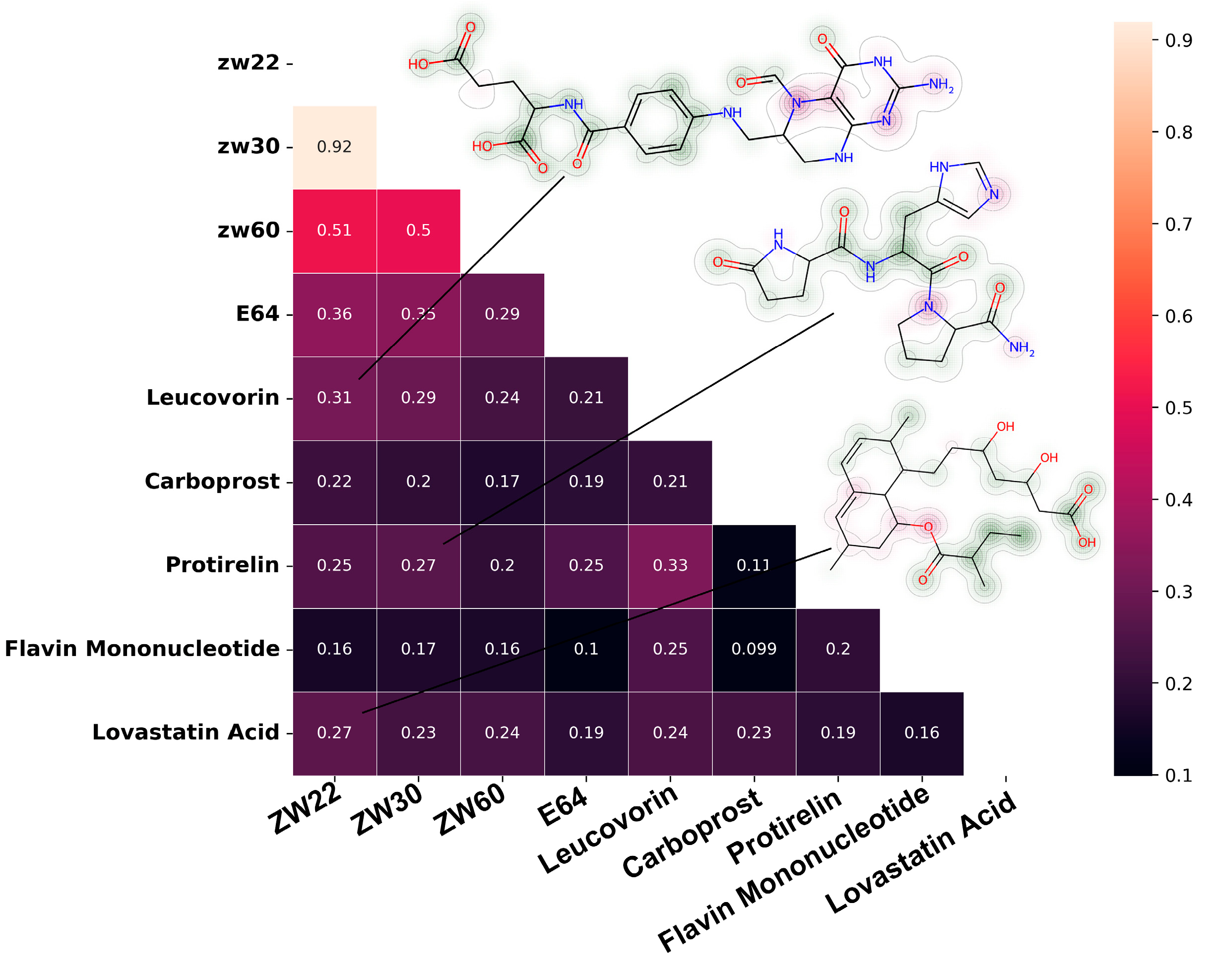 Molecules 28 00570 g008