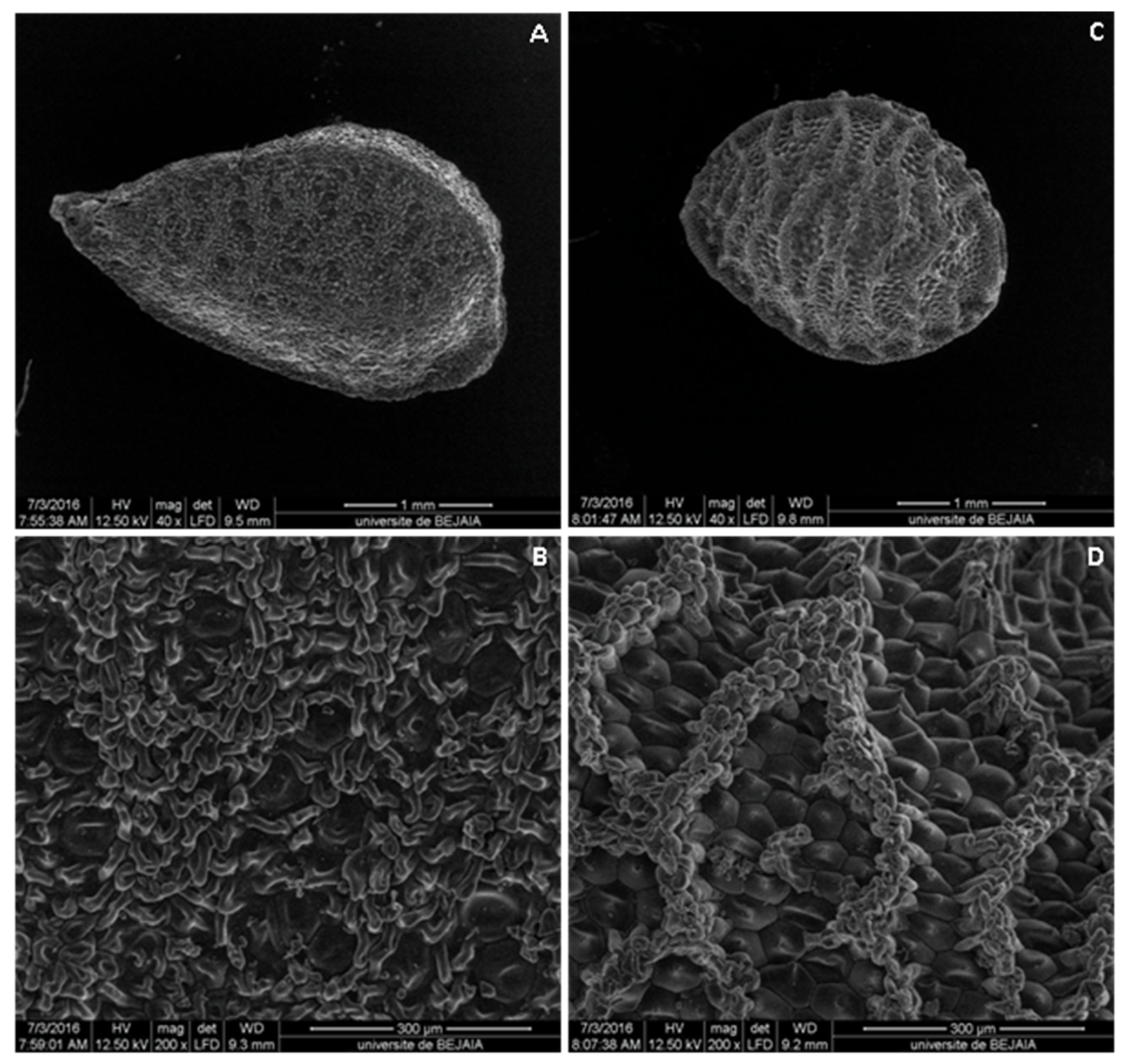 Molecules 28 00571 g002