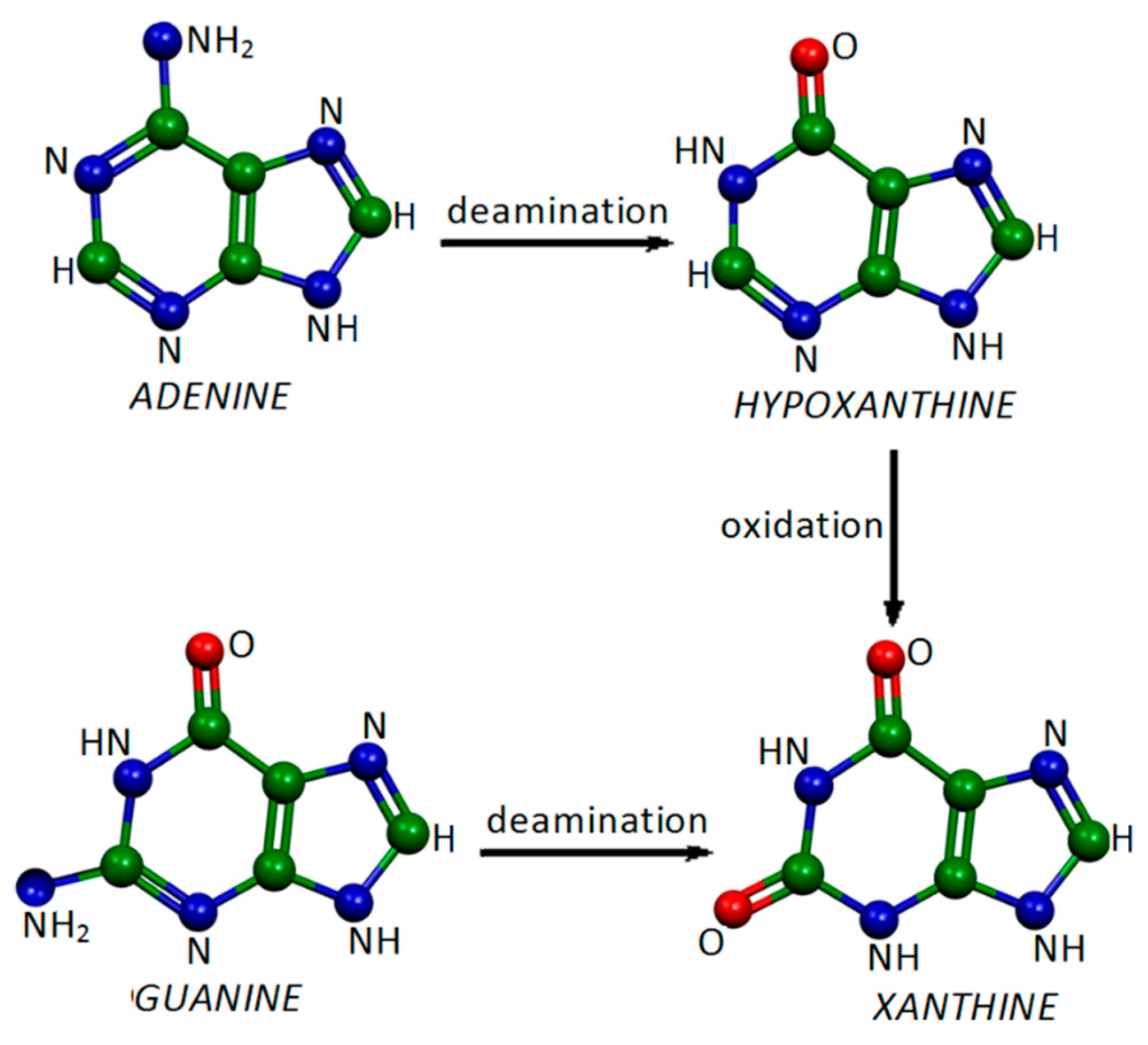 Molecules 28 00573 g001 Molecules 28 00573 g001