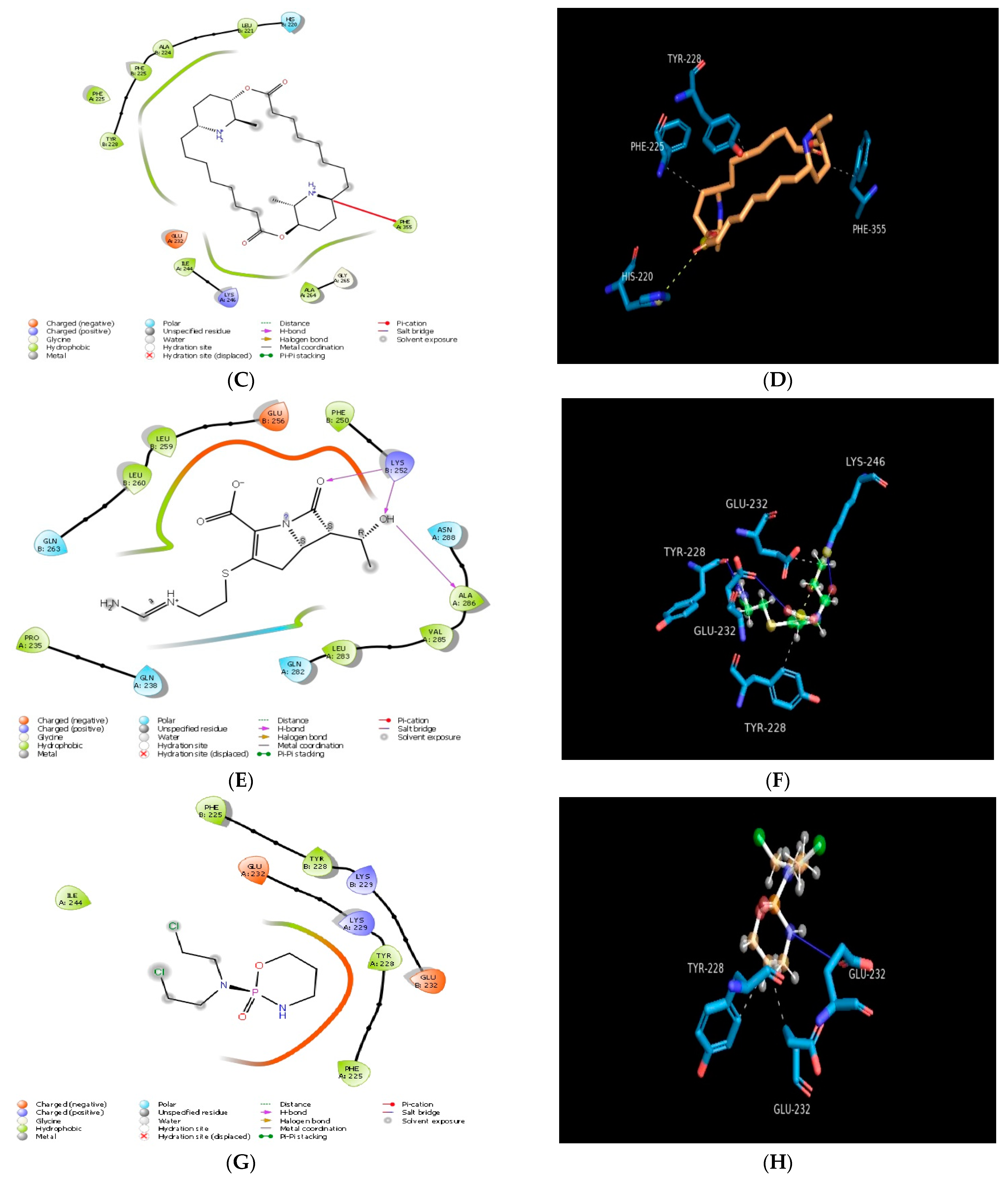 Molecules 28 00574 g002b